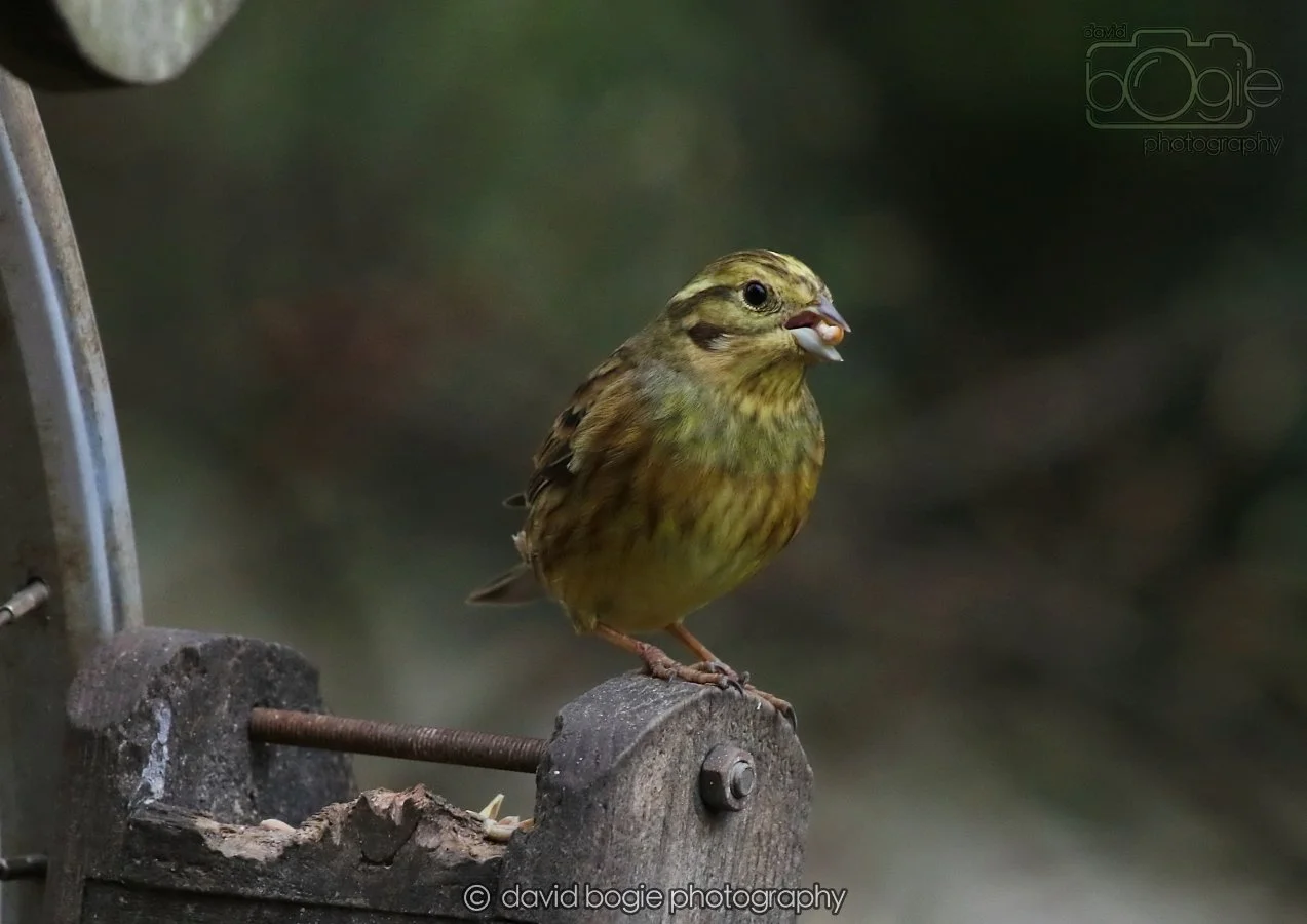 20260215 132609 Silverburn 0189.jpg