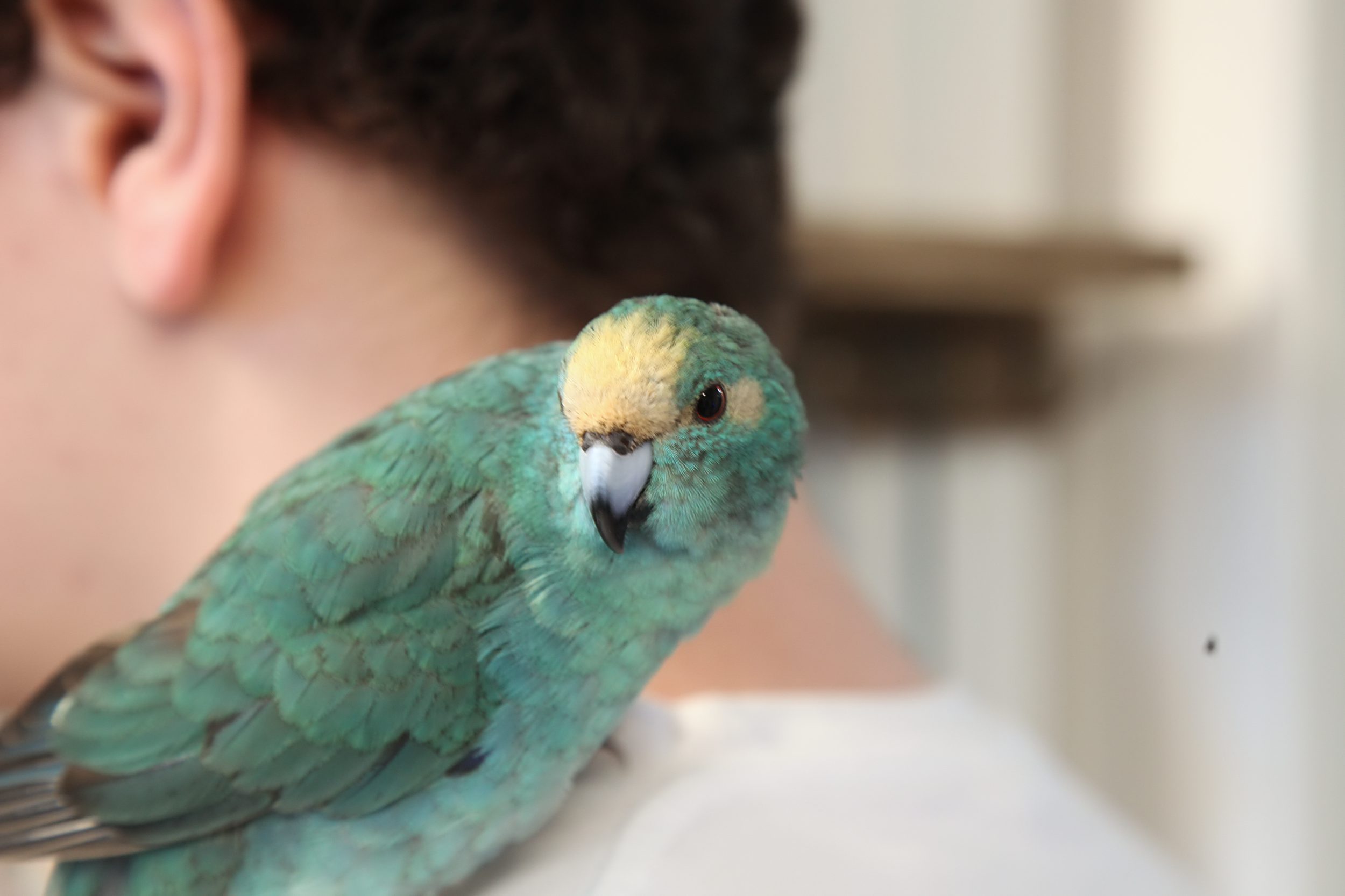 20260212 120150 K&S 0124.png