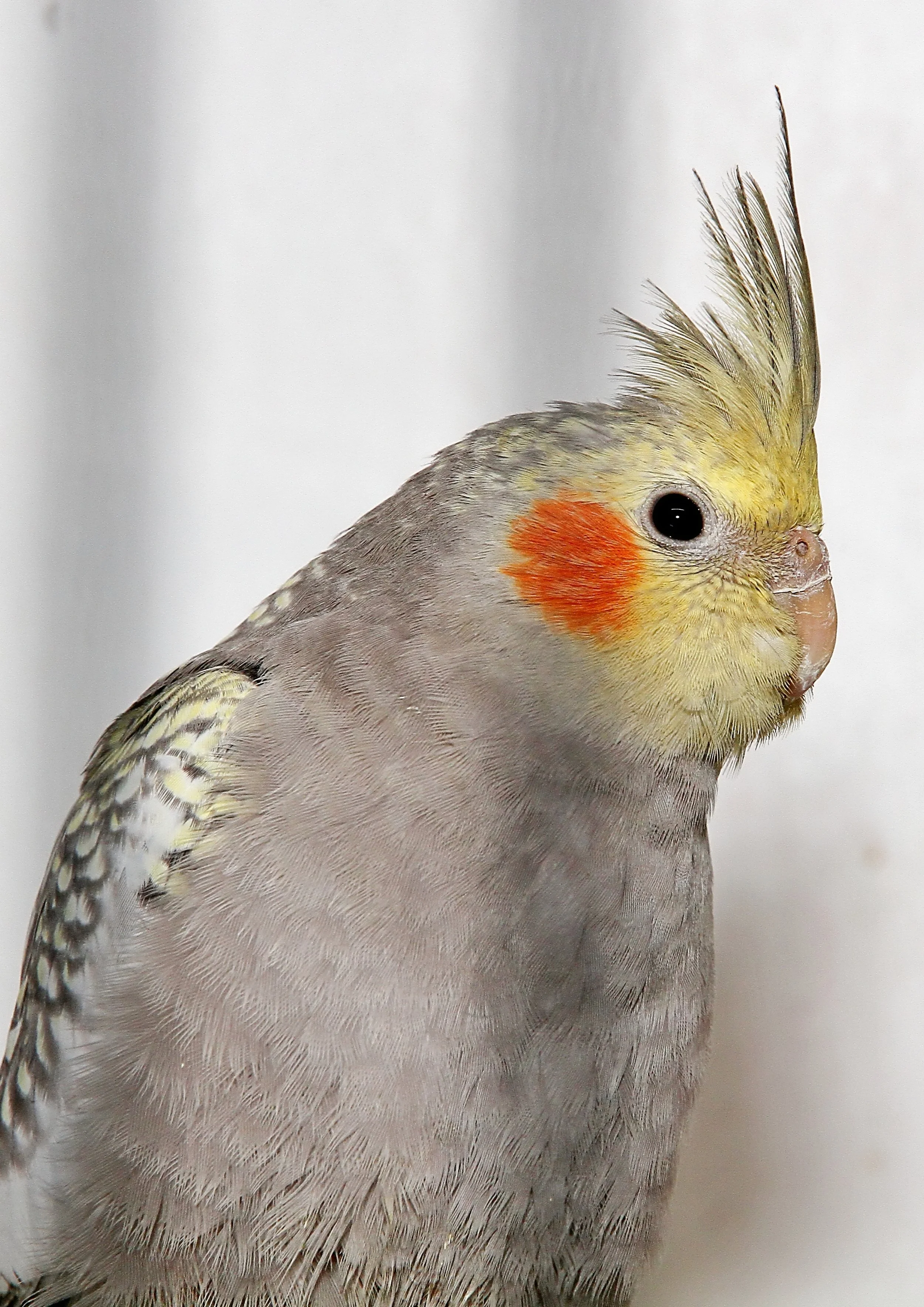 20260331 105110 K&S 0359.jpg