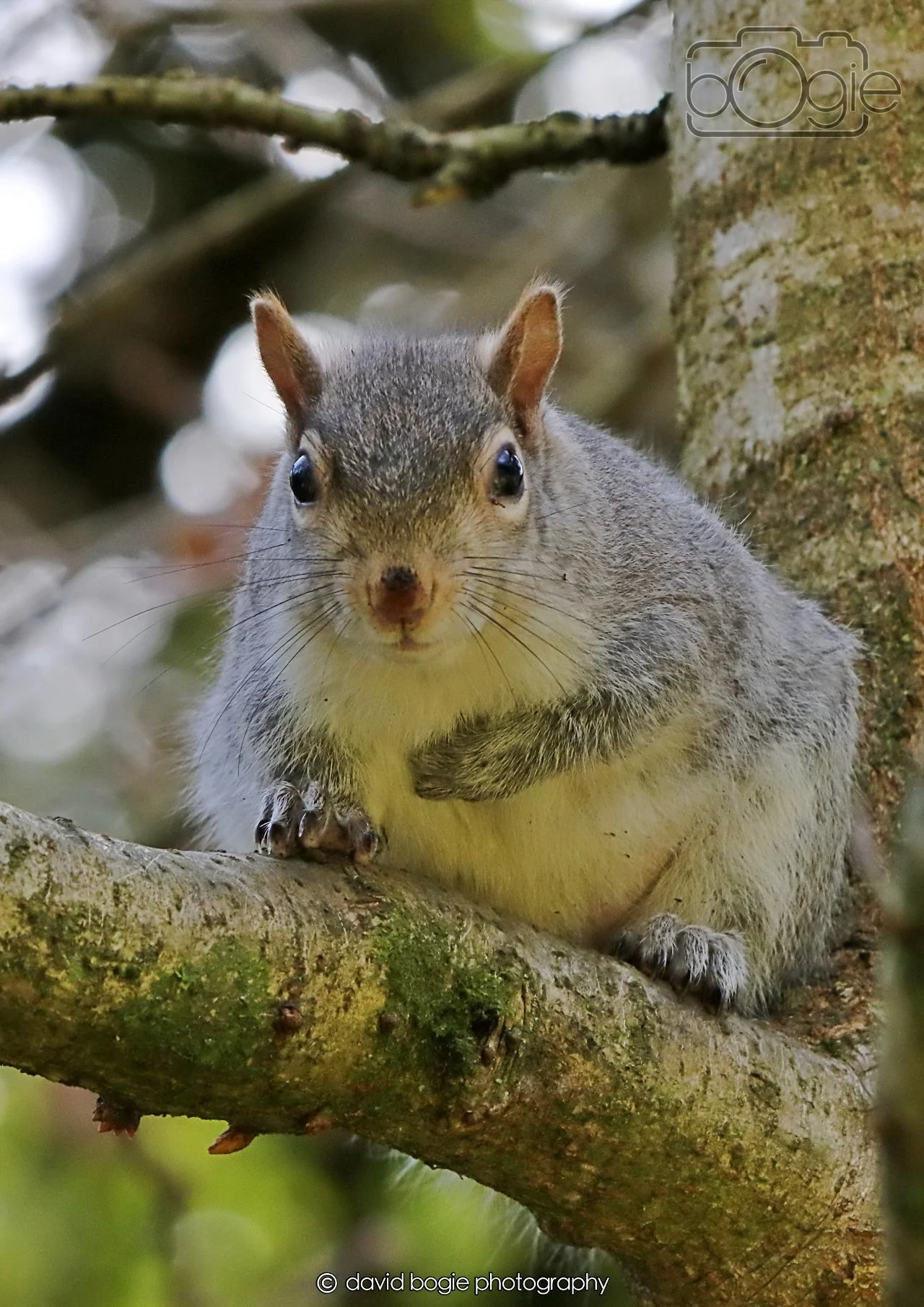 20260402 122906 Ravenscraig 0370.jpg
