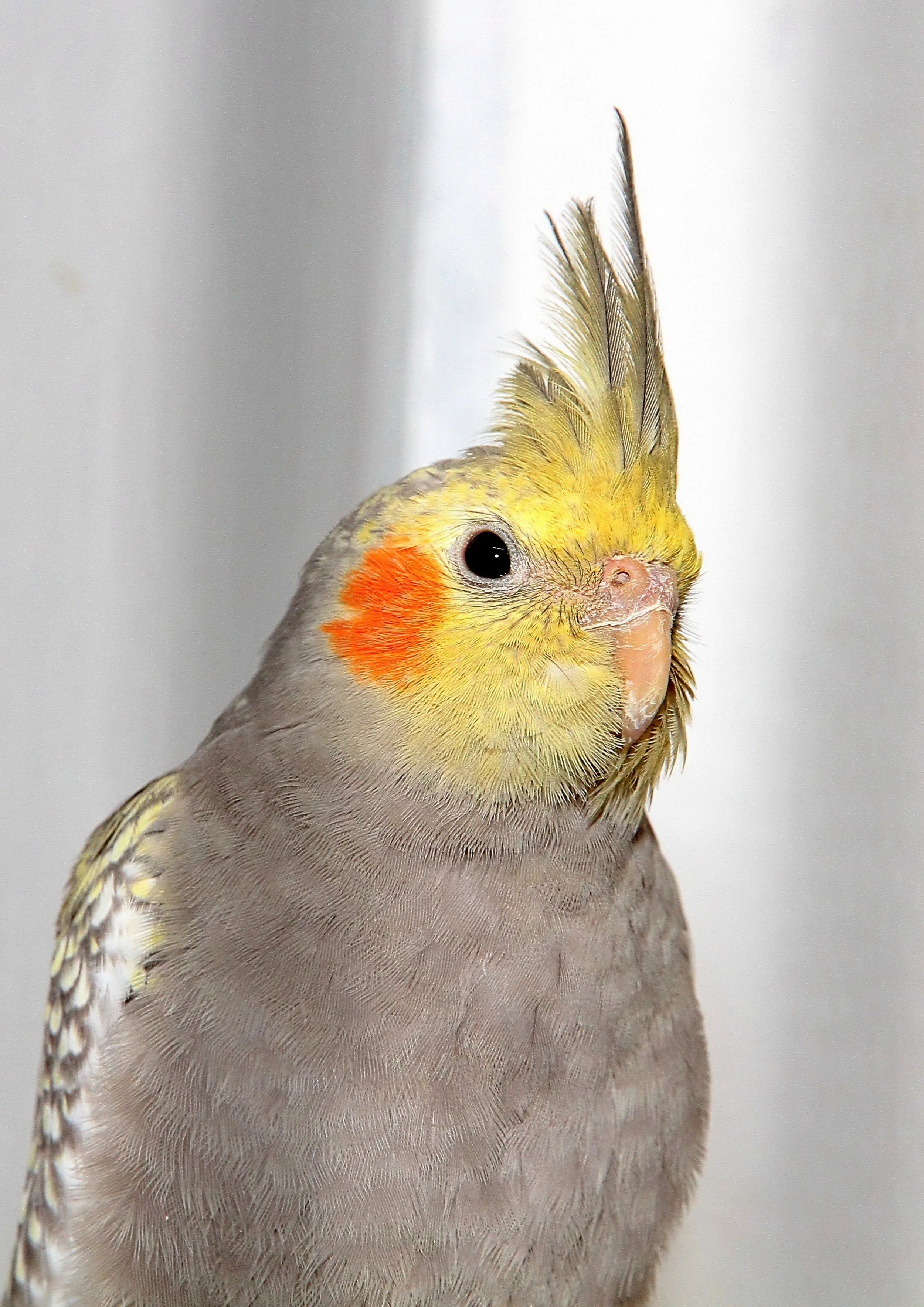 20260331 105059 K&S 0356.jpg