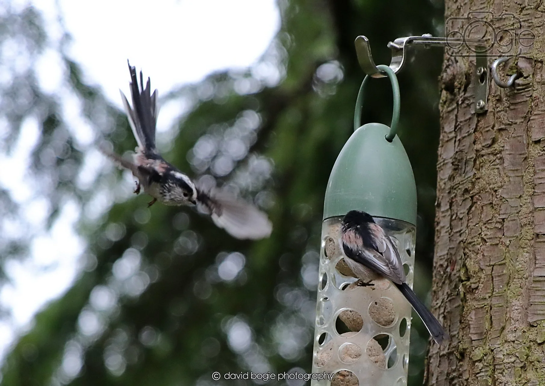 20260403 125349 Dunnikier 0250.jpg