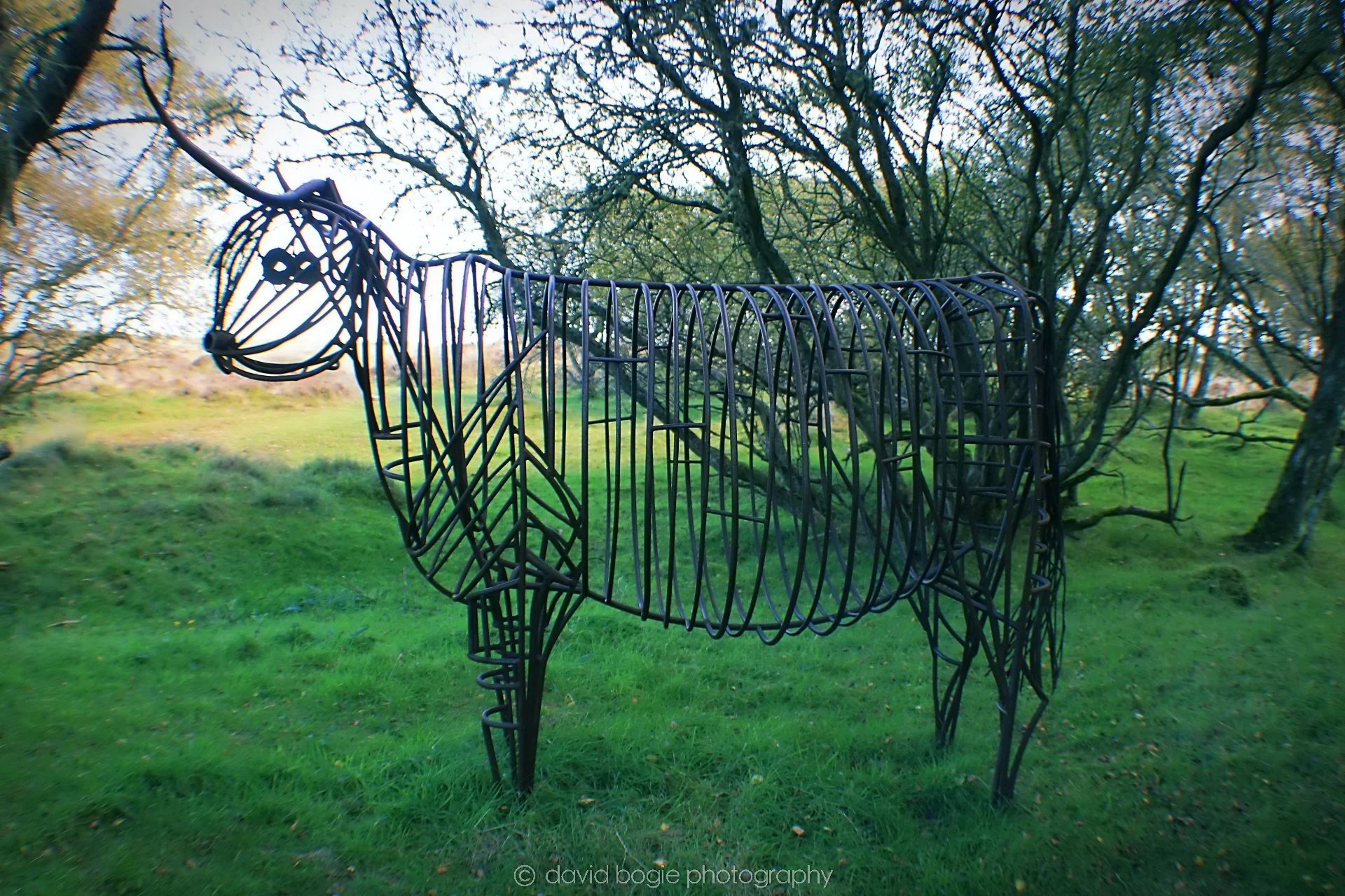 20191002 130851 Tentsmuir 0015.jpg