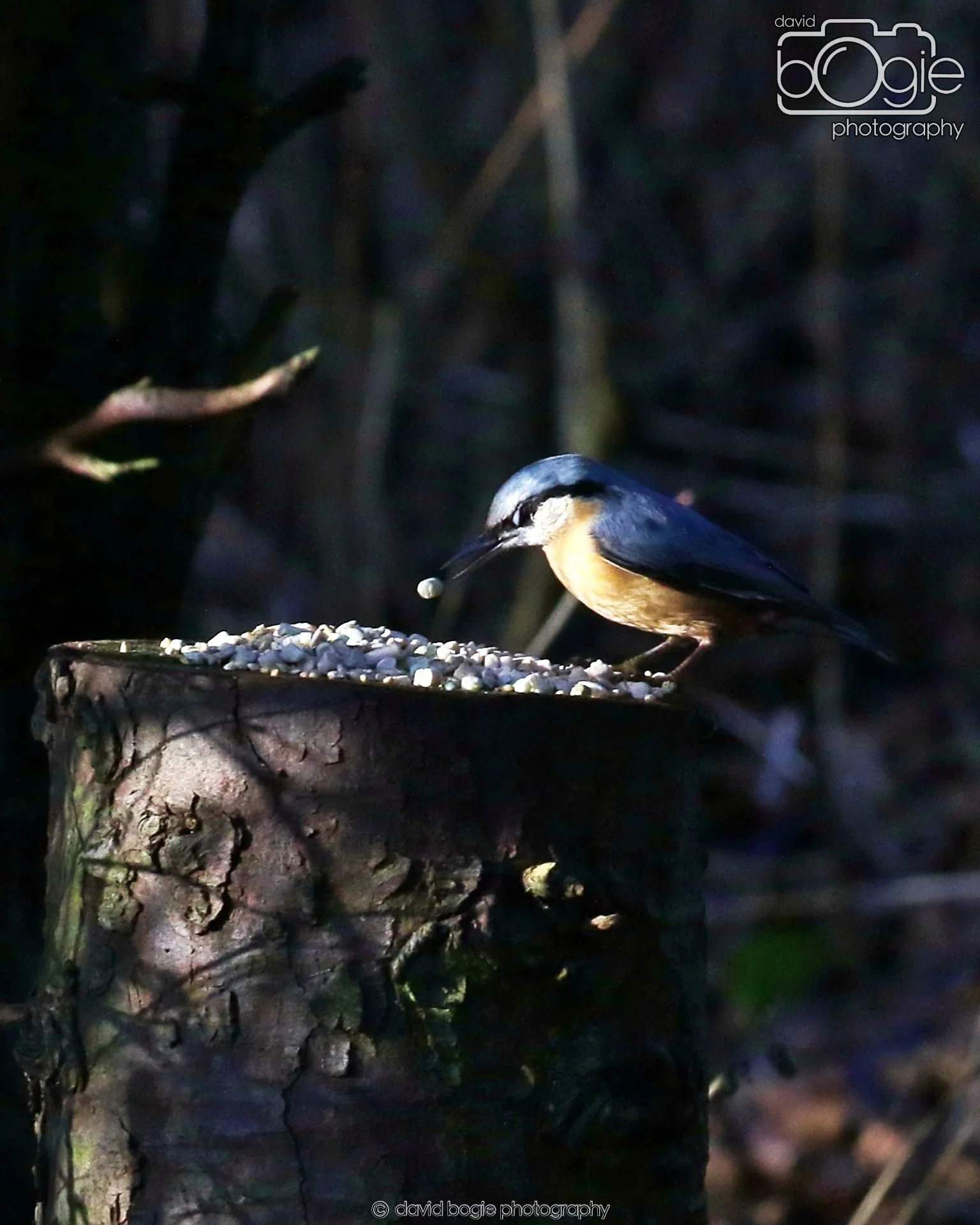 20260128 125941 Dunnikier 0106.JPG