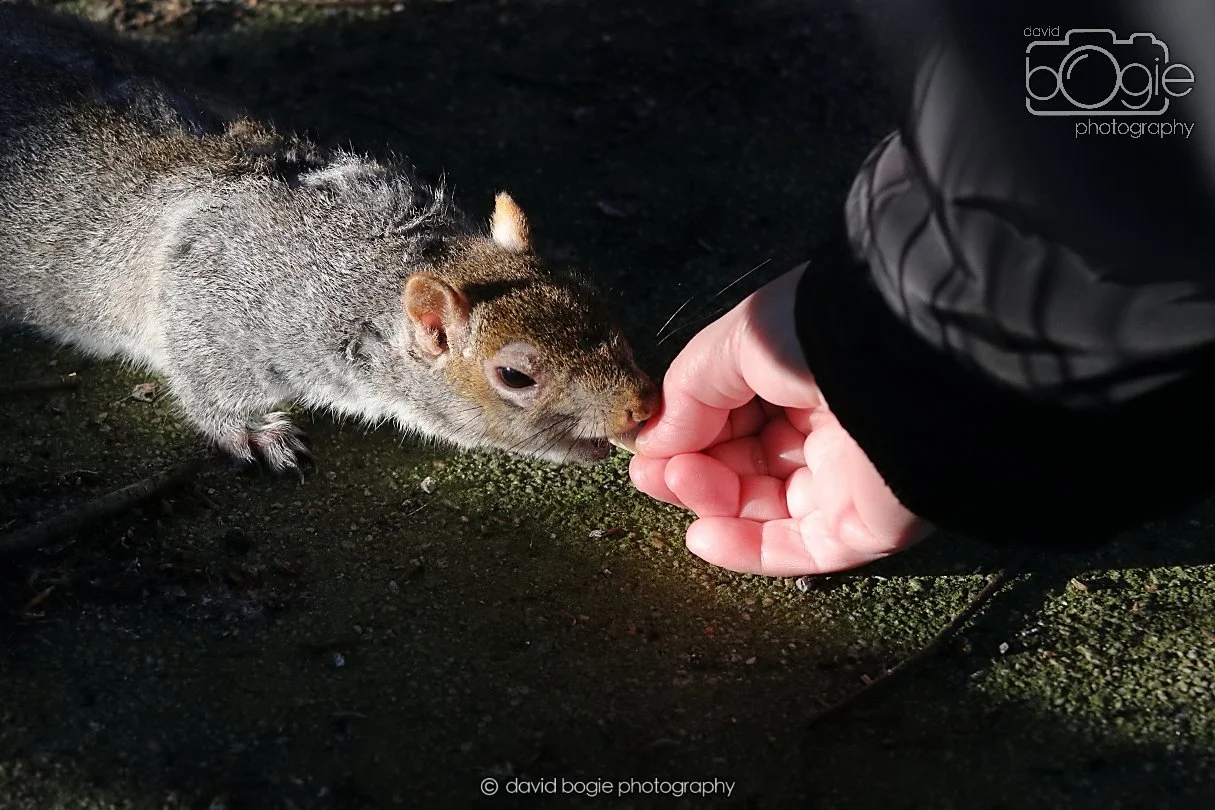 20251231 131516 Silverburn 0075.JPG