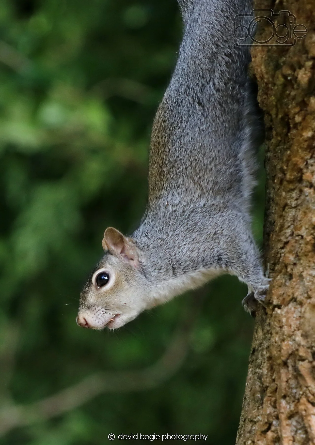 20260403 122212 Dunnikier 0182.jpg