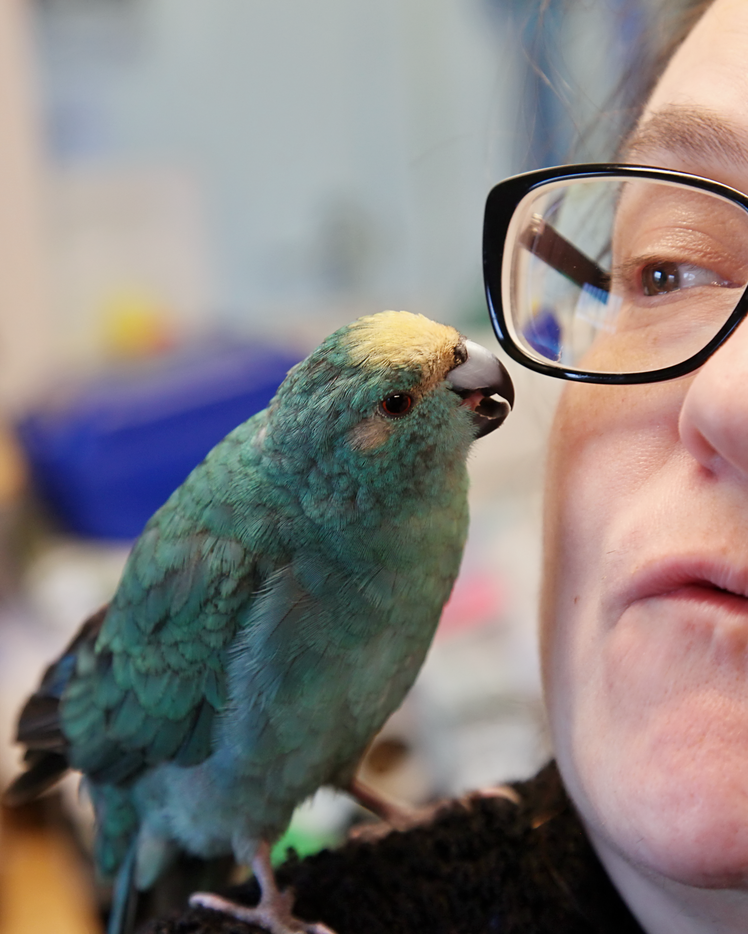 20260212 121701 K&S 0215.png