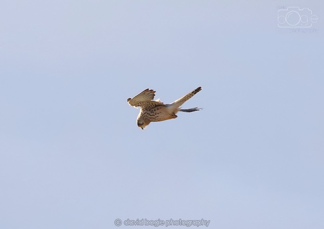 20260314 162047 Elie 0078.jpg