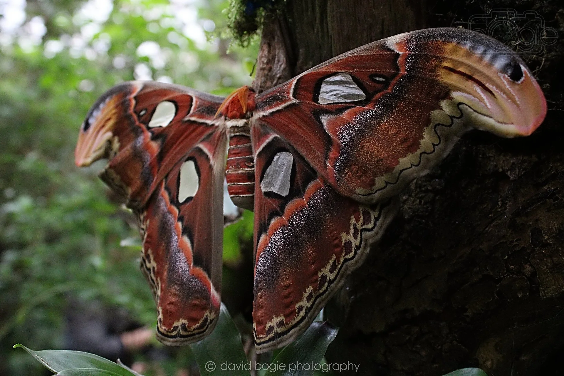 20191019 123134 Butterfly World 0014.jpg