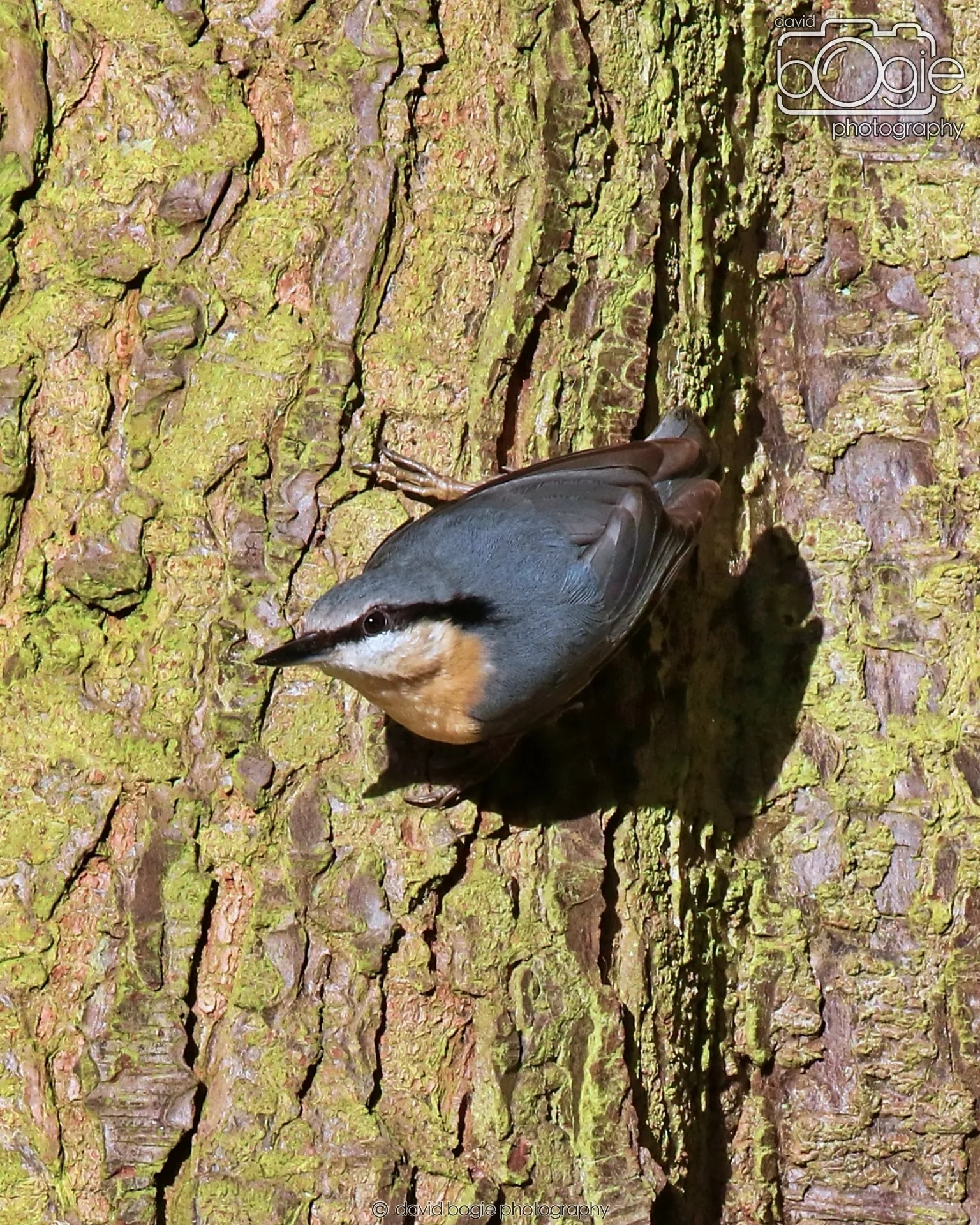 20260128 131927 Dunnikier 0158.JPG