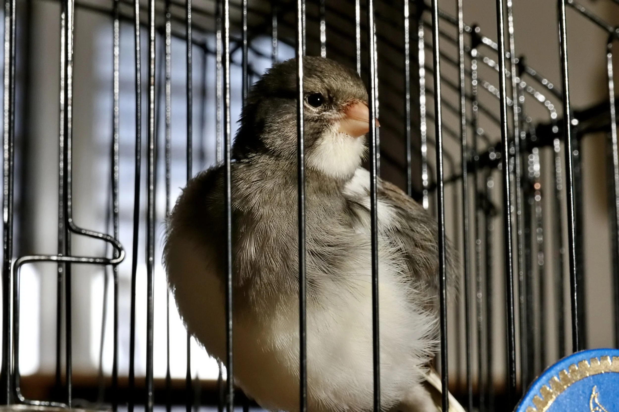 20251102 142446 Markinch CBS  0771.JPG