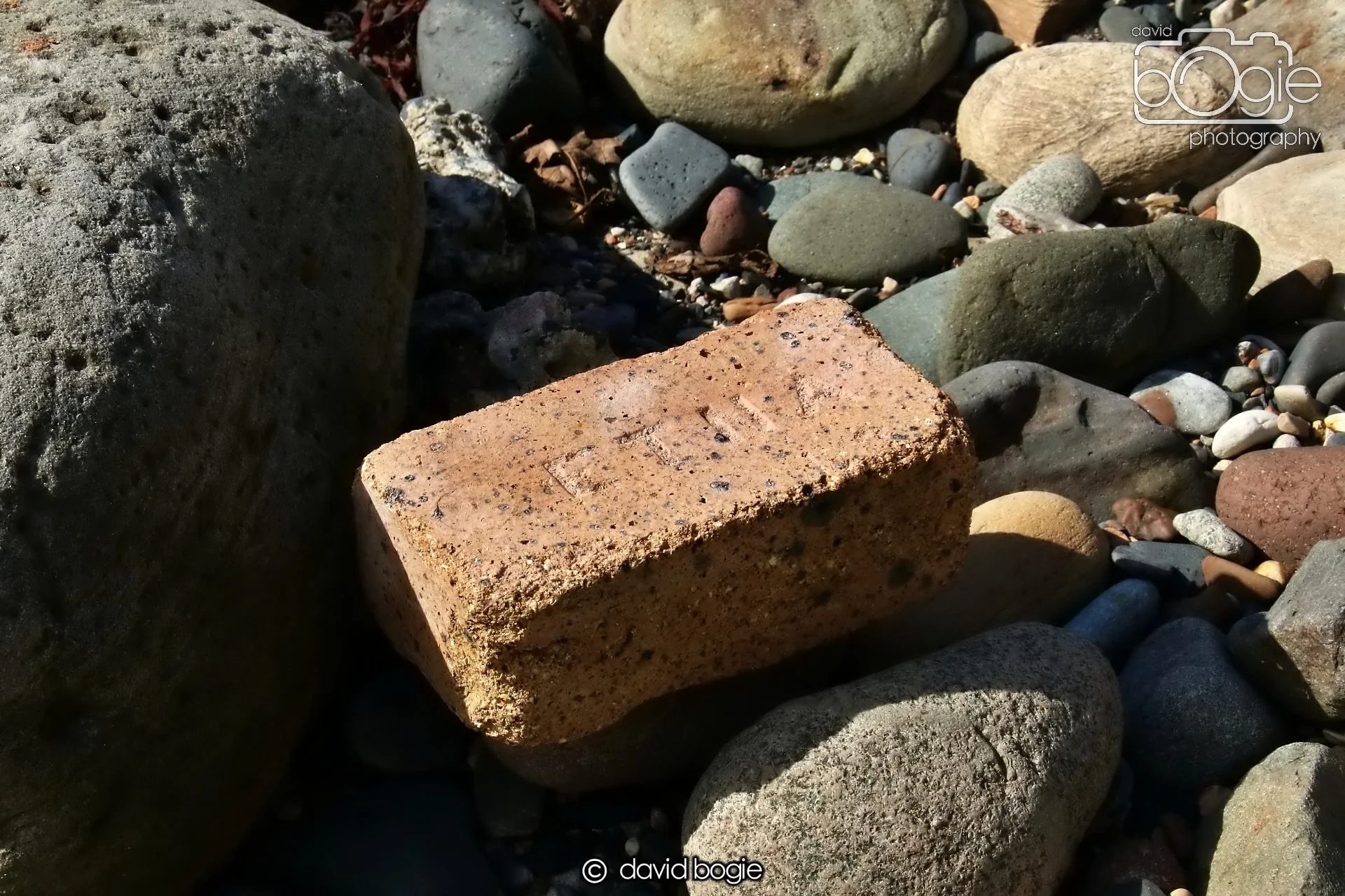 20250924 124640 Dysart 0258.JPG