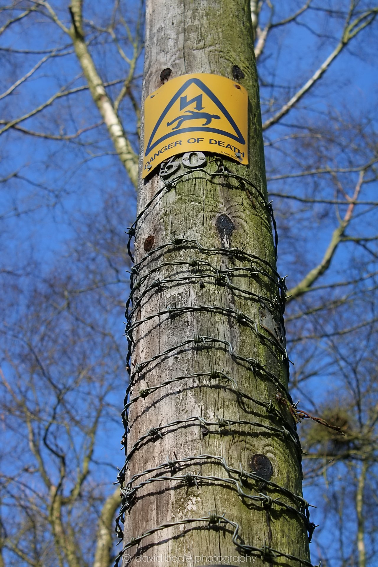 20190405 092827 Lochore 0006.jpg