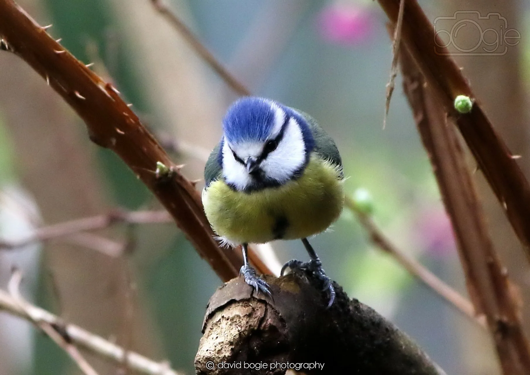 20260326 113337 Silverburn 0204.jpg