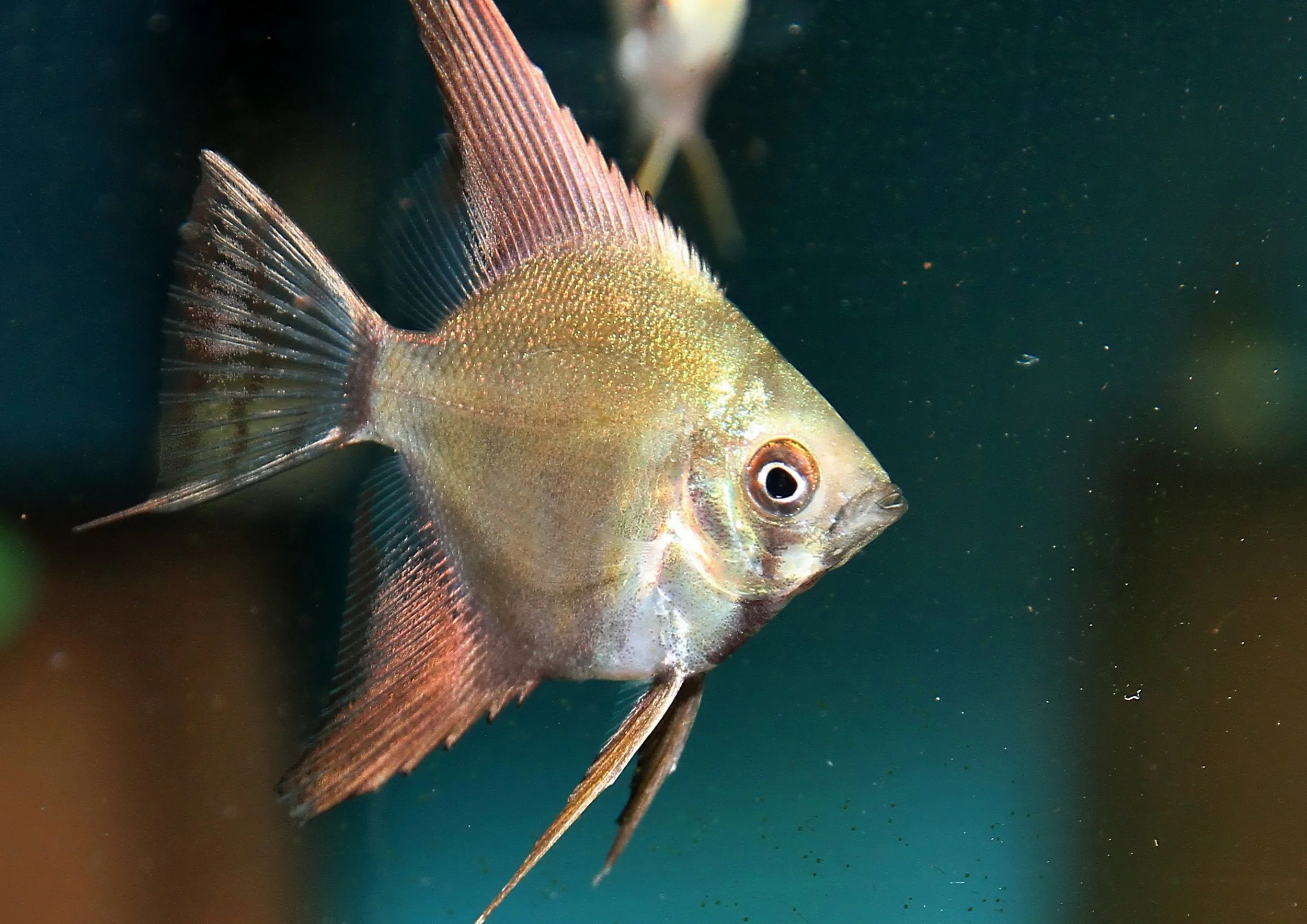 20260331 112150 K&S 0511.jpg