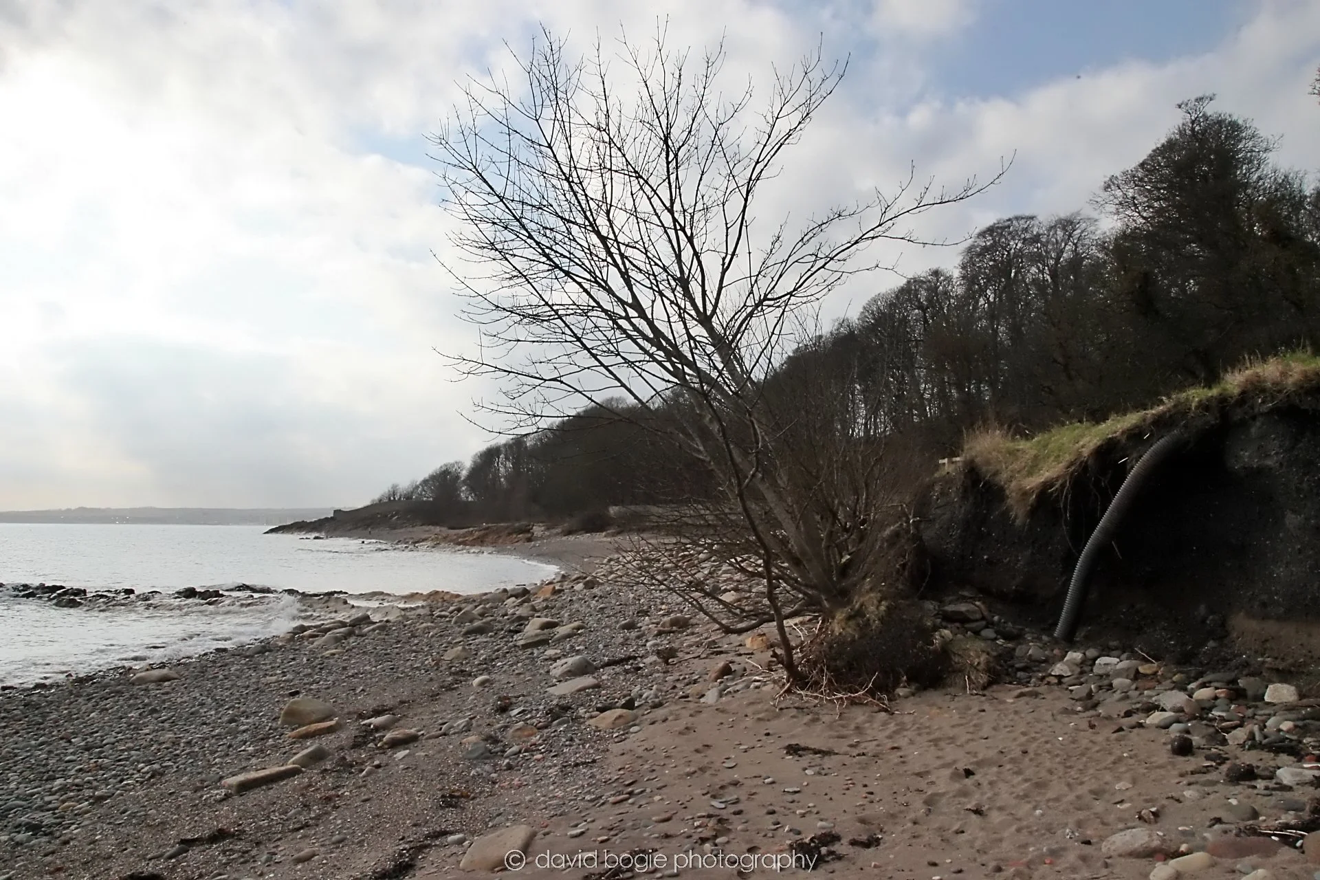 YEAR20260304 131819 Kirkcaldy 0124.jpg