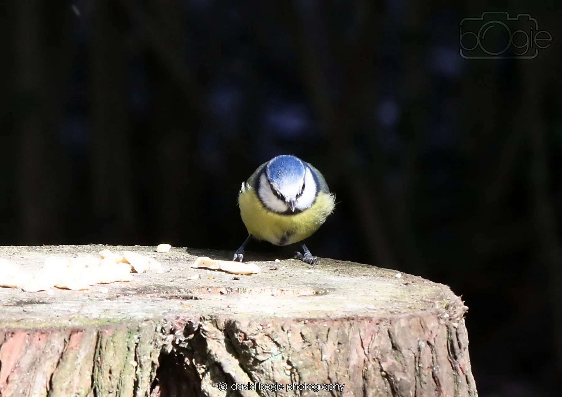 20260330 115241 Dunnikier 0245.jpg