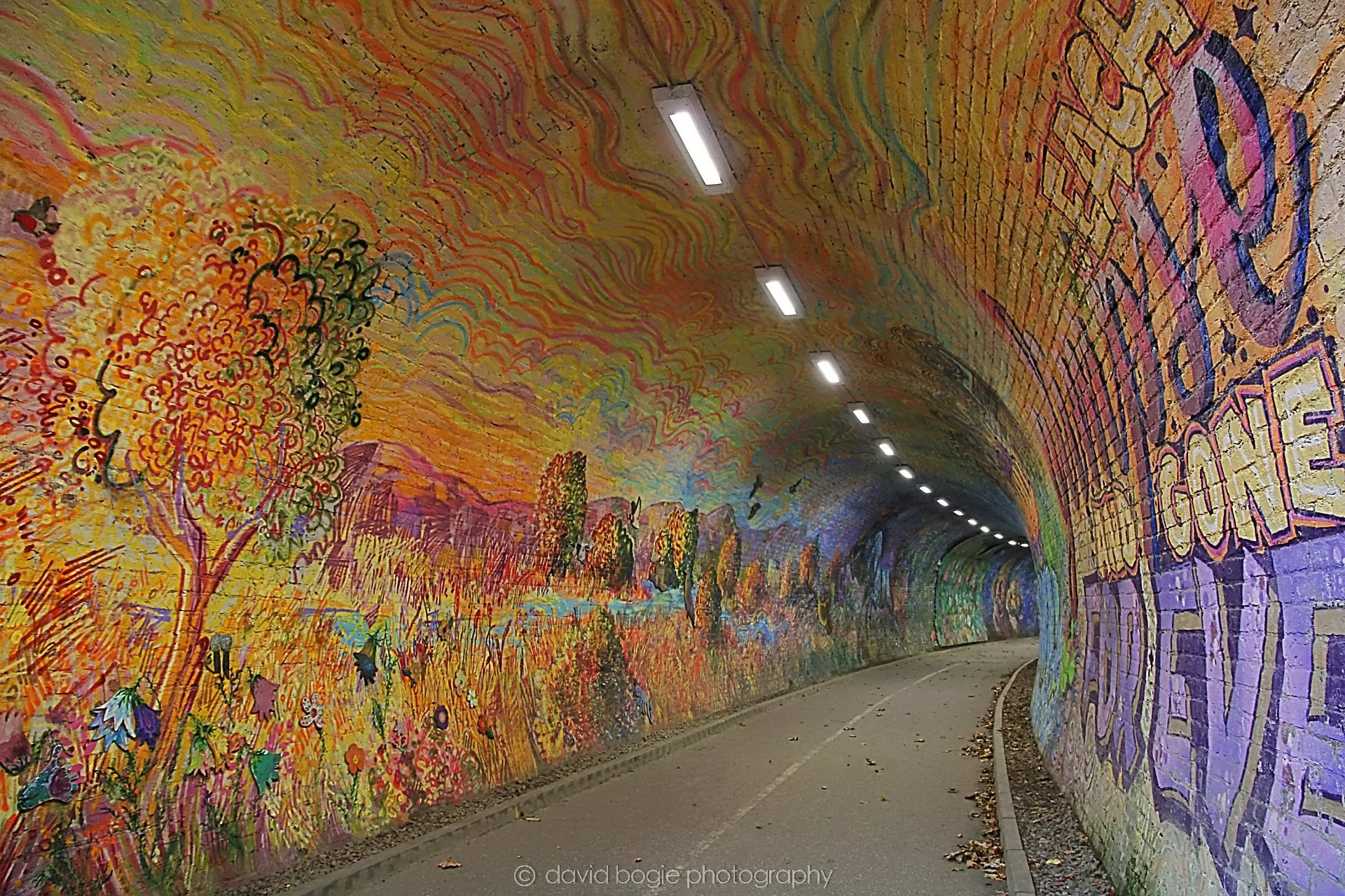 YEAR20221102 142133 Colinton Tunnel 0037.jpg