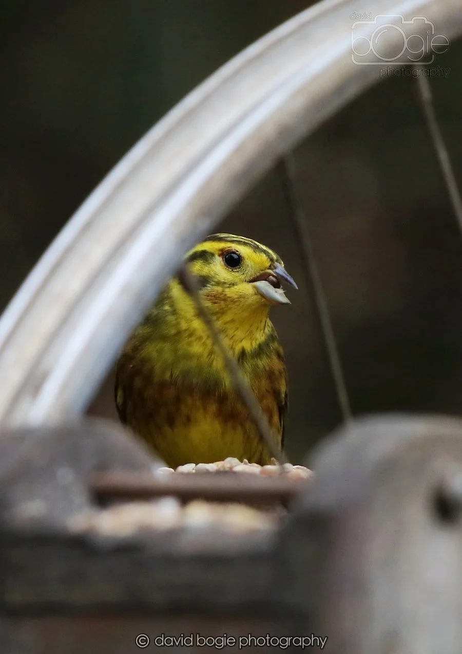 20260215 132542 Silverburn 0183.jpg