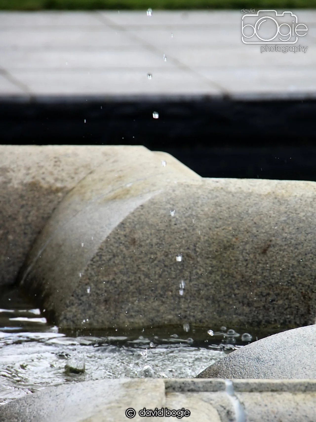 20240423 111608 Beveridge 0024.JPG