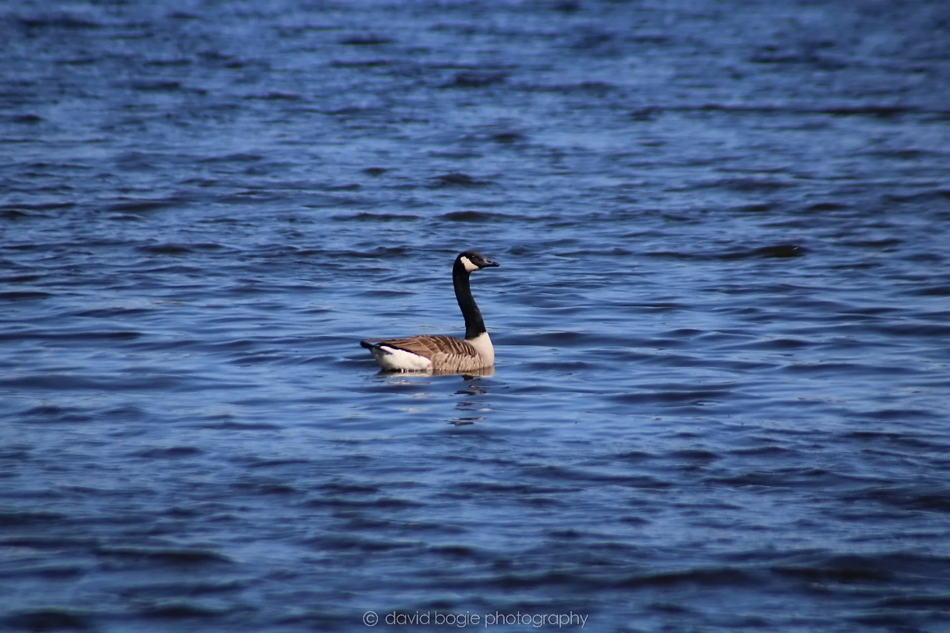 20210420 Lochore 17.jpg