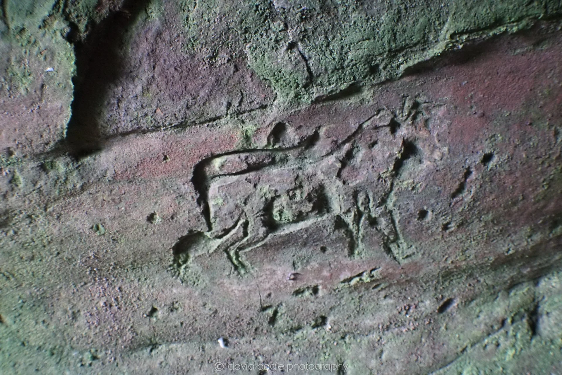 20190926 110243 Wemyss Caves 0024.jpg