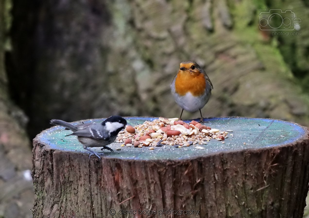 20260309 113005 Dunnikier 0174.jpg