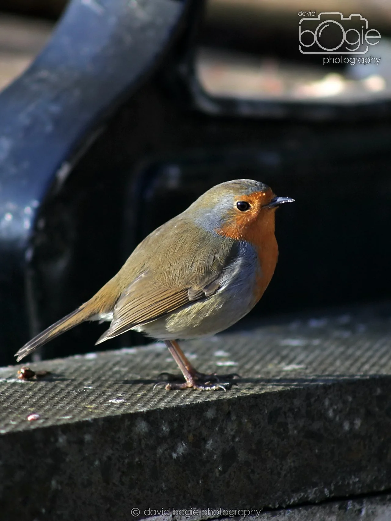 20251125 132539 Silverburn 0019.JPG