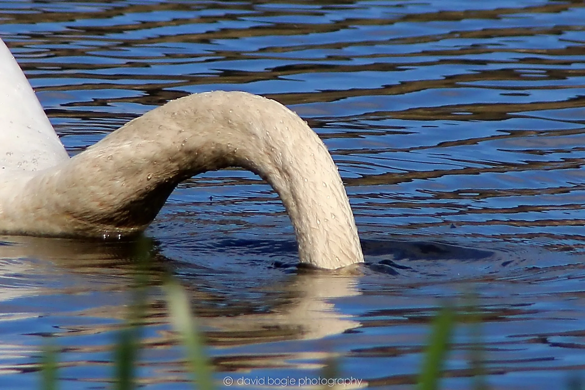 YEAR20230410 Lochore 00152.jpg
