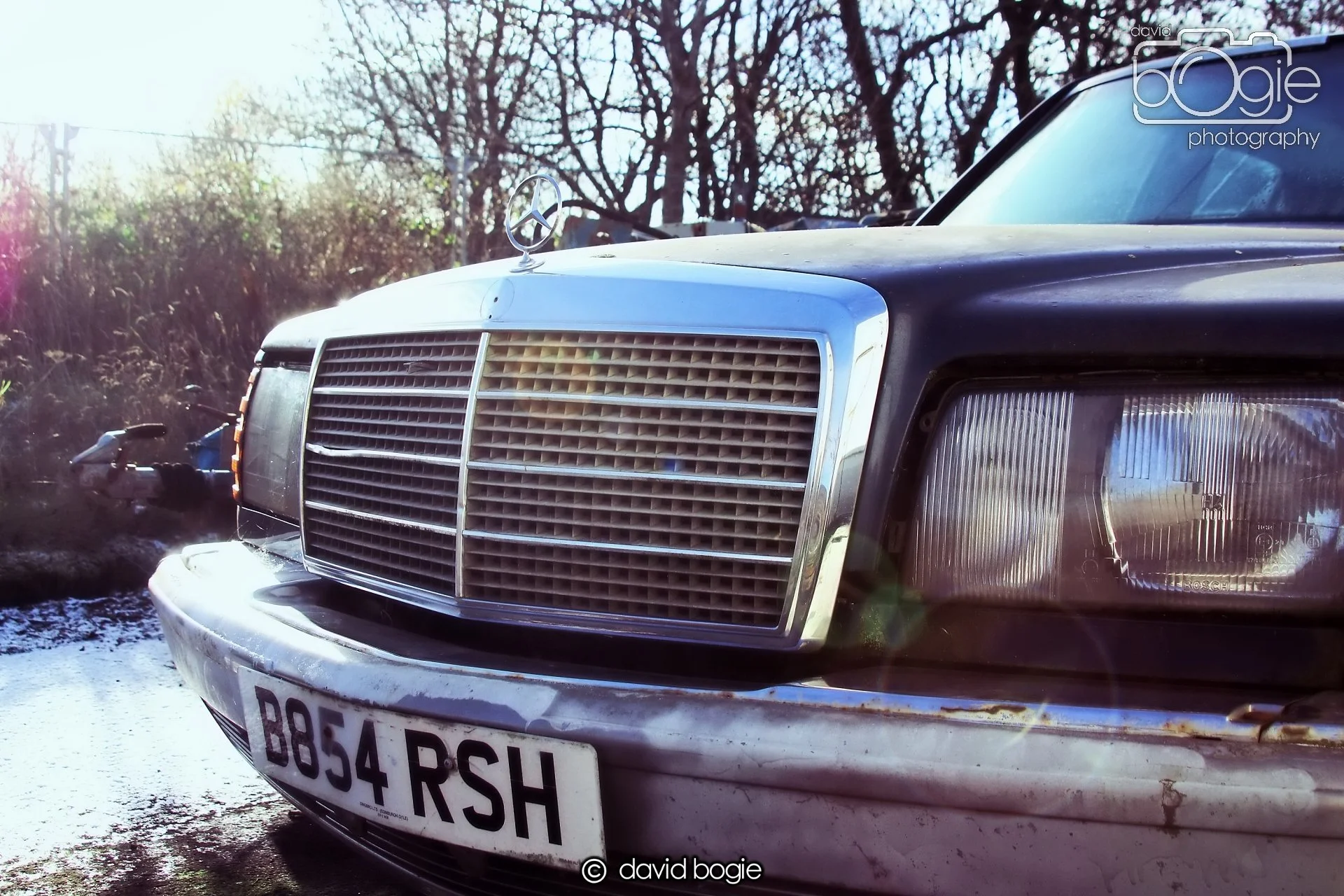 20221208 Reekies 00012 .JPG