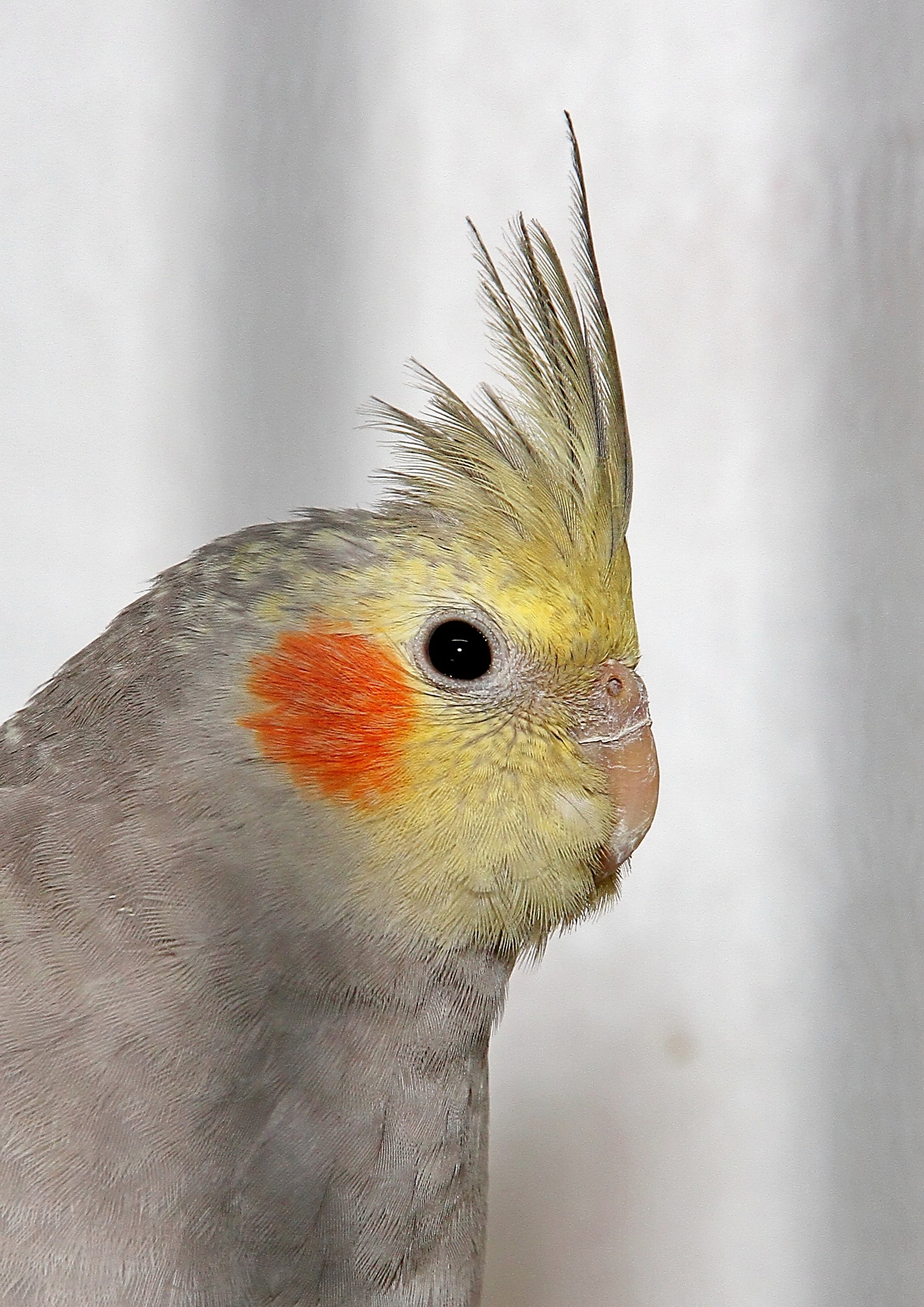 20260331 105110 K&S 0360.jpg