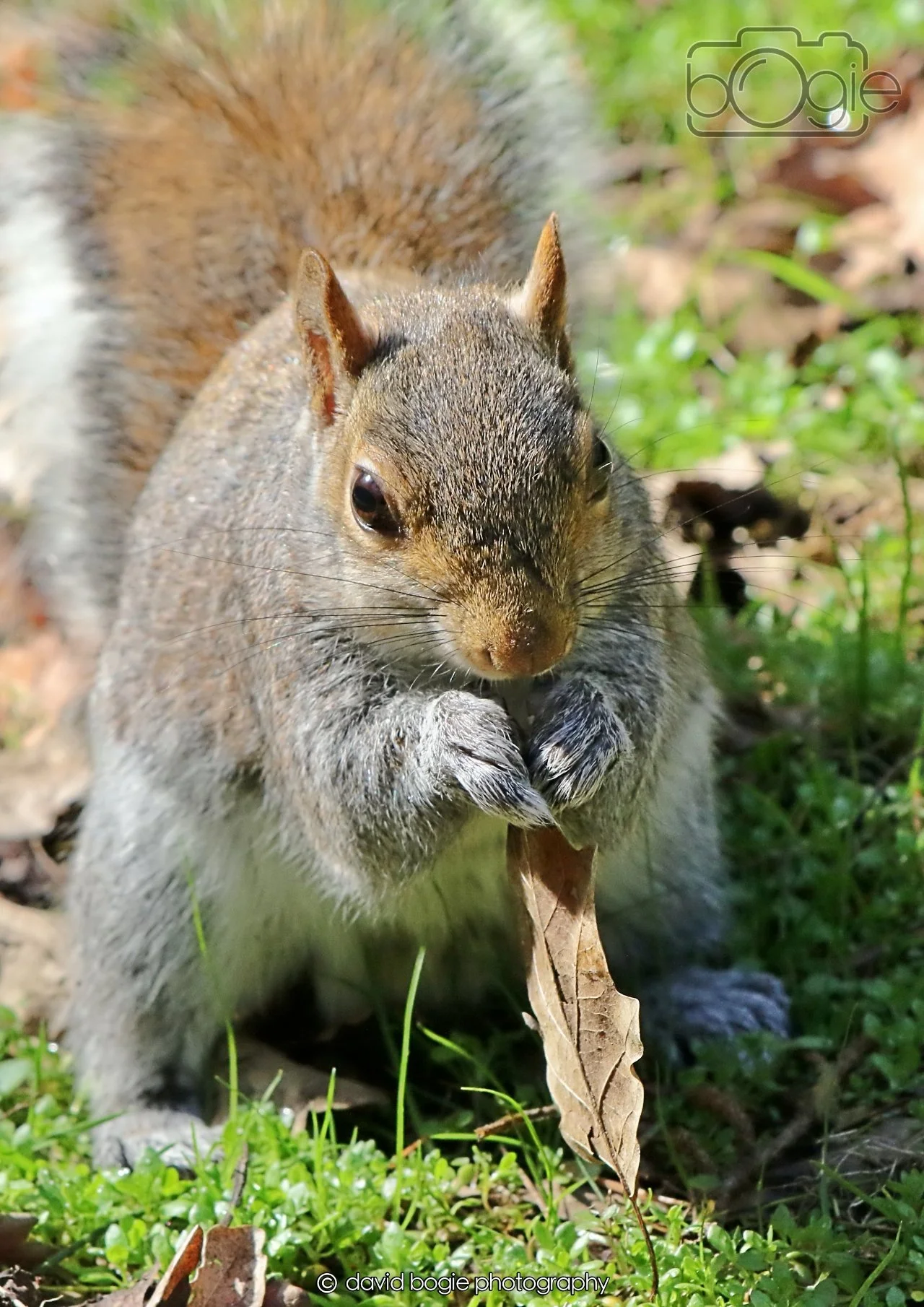 20260402 123428 Ravenscraig 0422.jpg