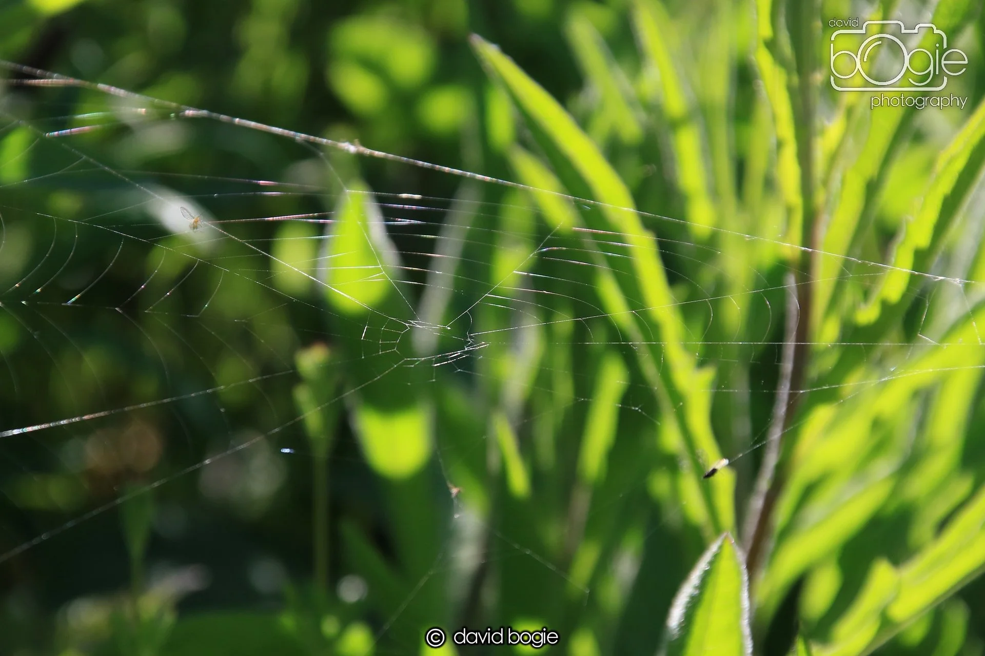 20250517 134627 Beveridge Park 0666.JPG