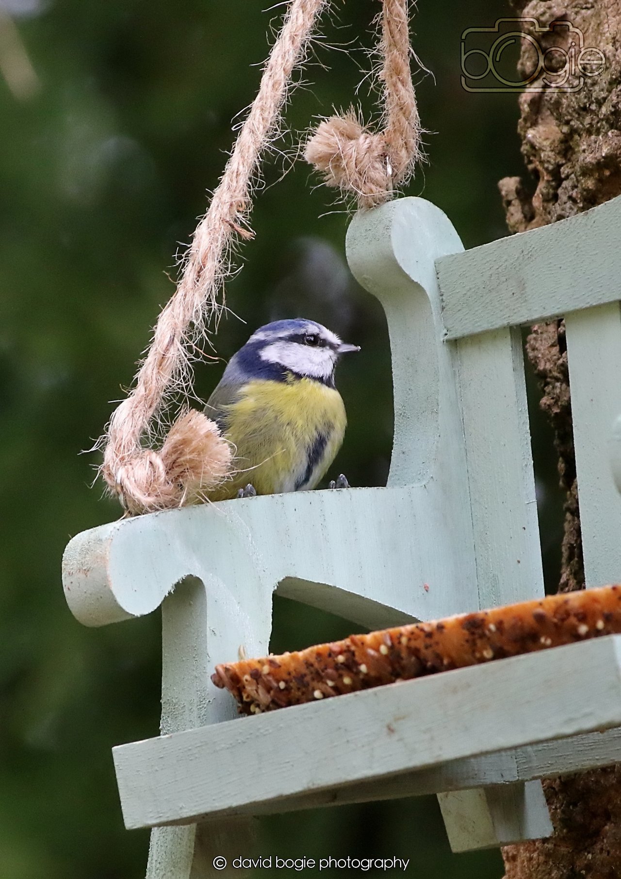 20260330 111339 Dunnikier 0054.jpg