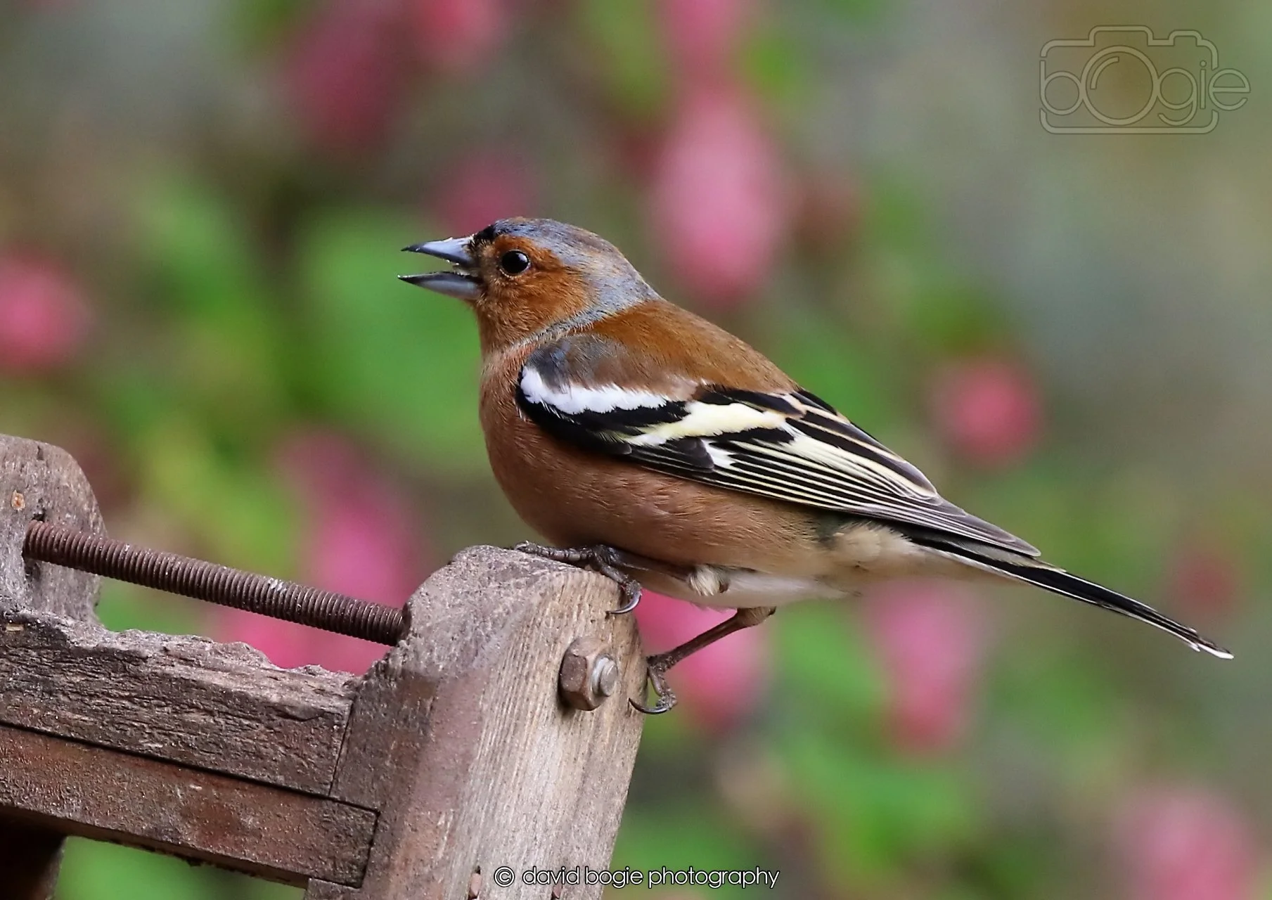 20260326 120349 Silverburn 0370.jpg