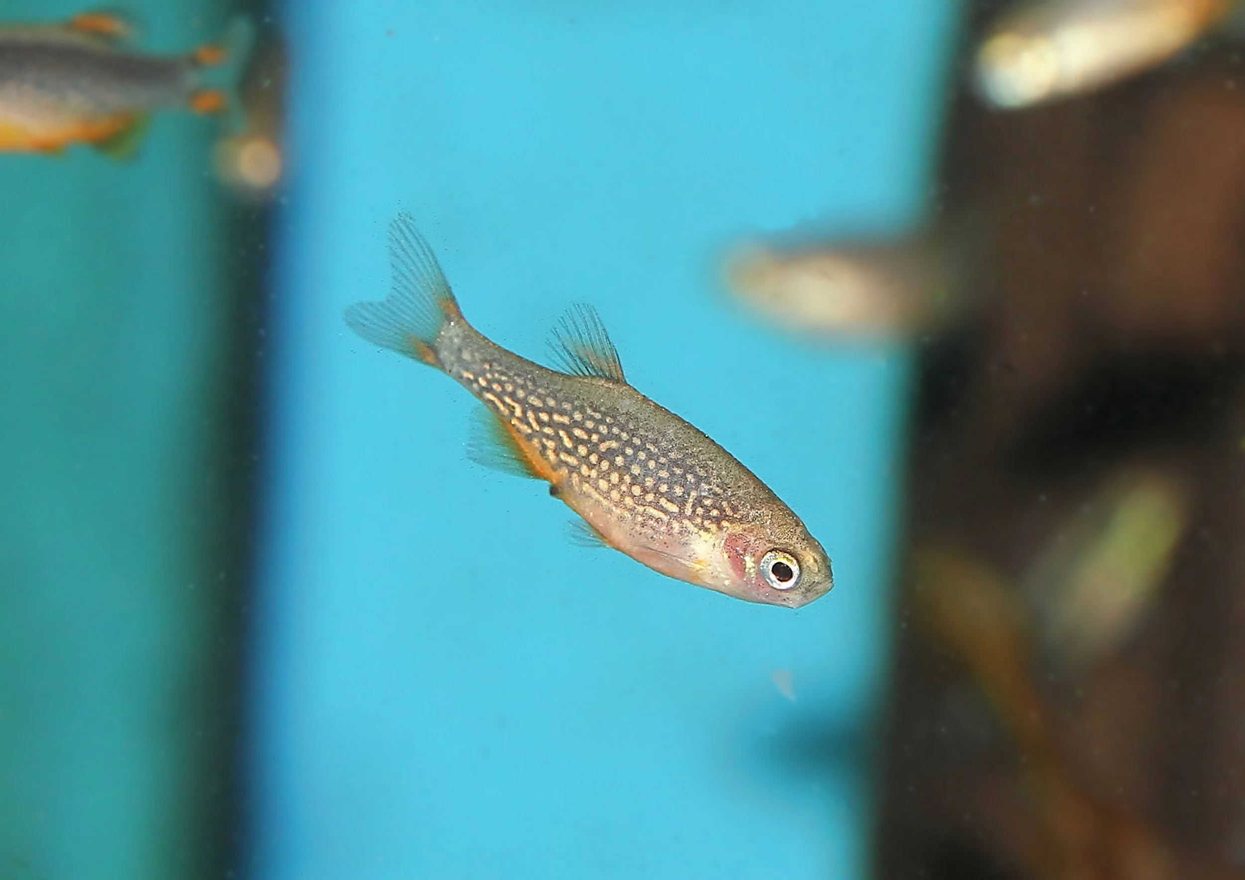 20260403 141507 IMG_0154.jpg