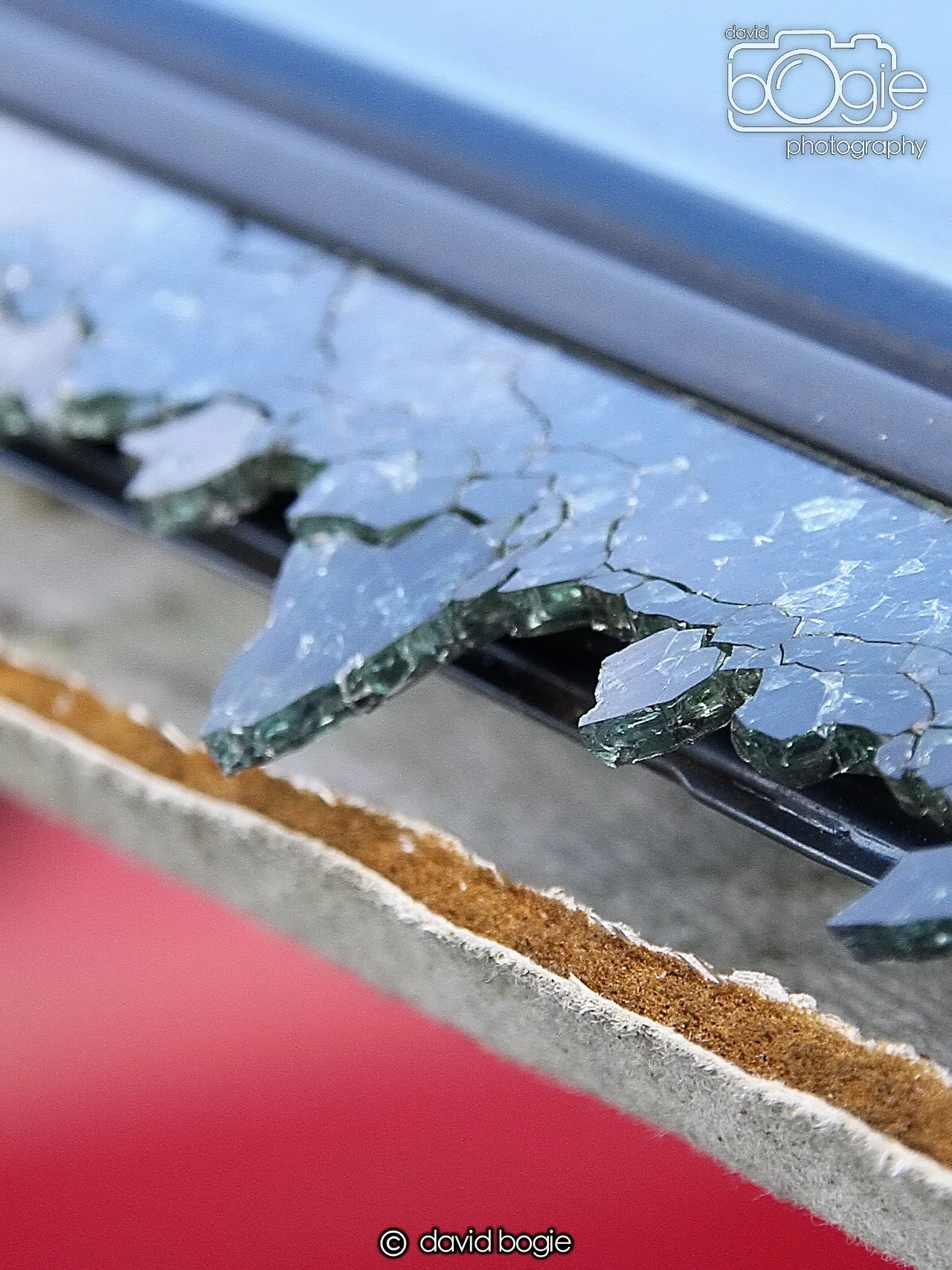 20250129 130951 Reekies 0124.JPG