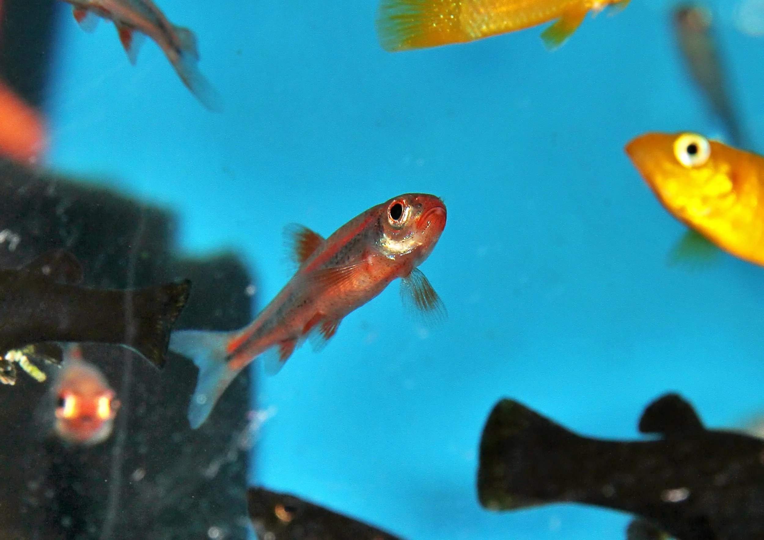 20260403 141656 IMG_0159.jpg