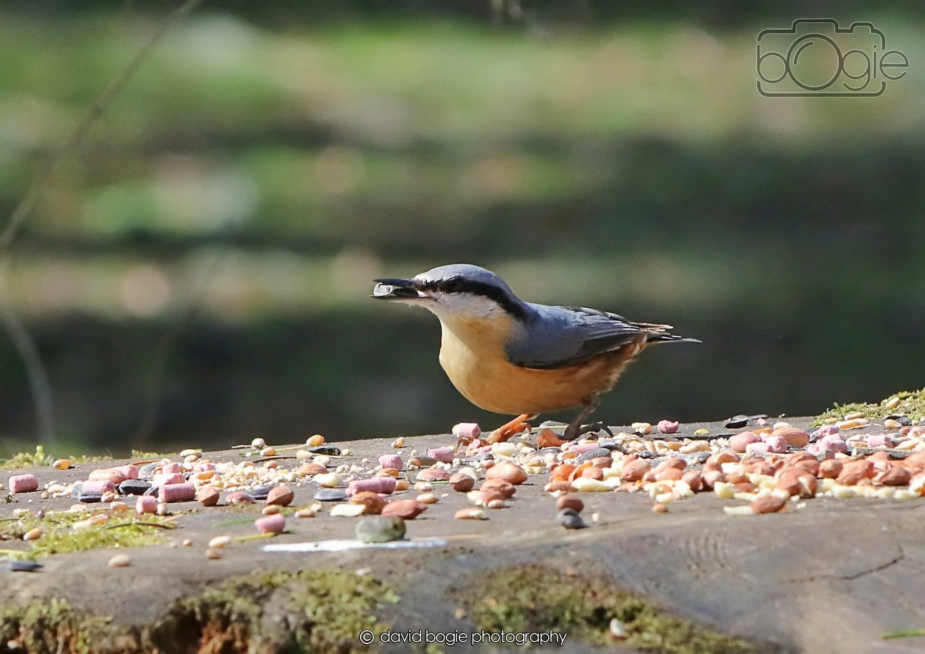 20260402 123442 Ravenscraig 0427.jpg