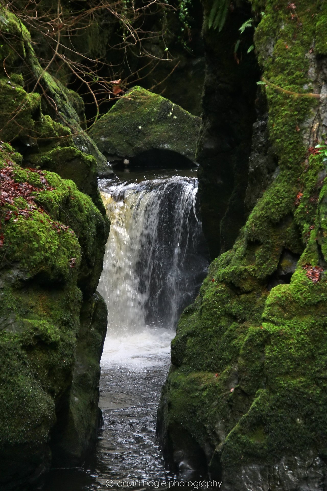 YEAR20250114 142114 Rumbling Bridge 0076.jpg