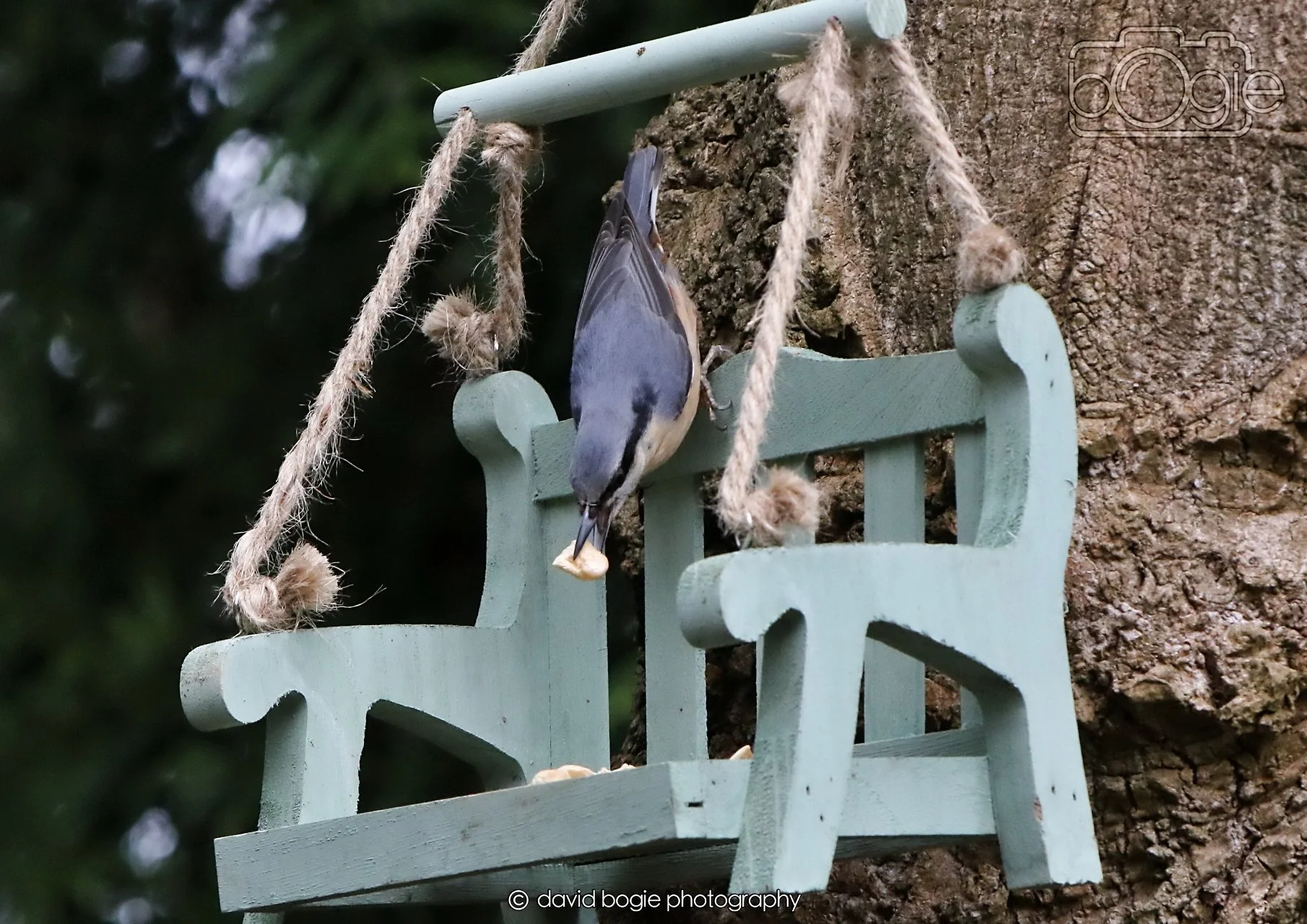 20260330 115949 Dunnikier 0332.jpg