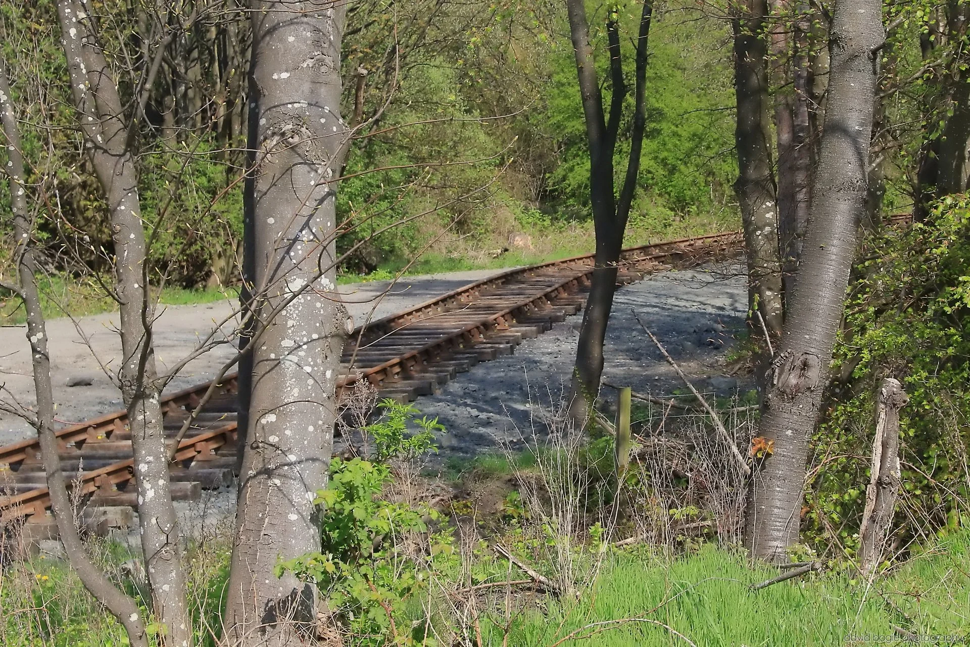 20260426 132105 Bus Bundle 0523.jpg