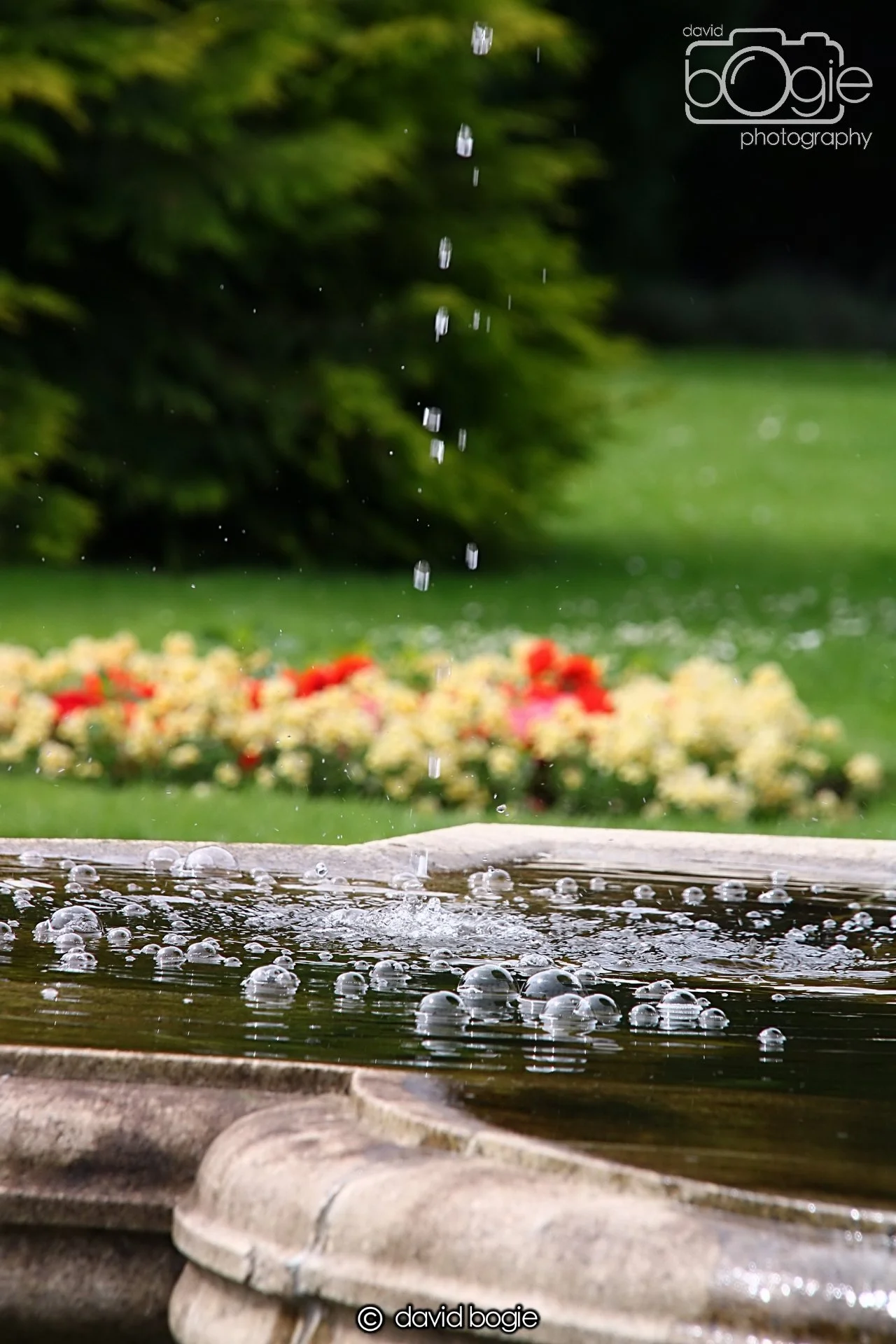 20240722 132653 Beveridge 0083.JPG