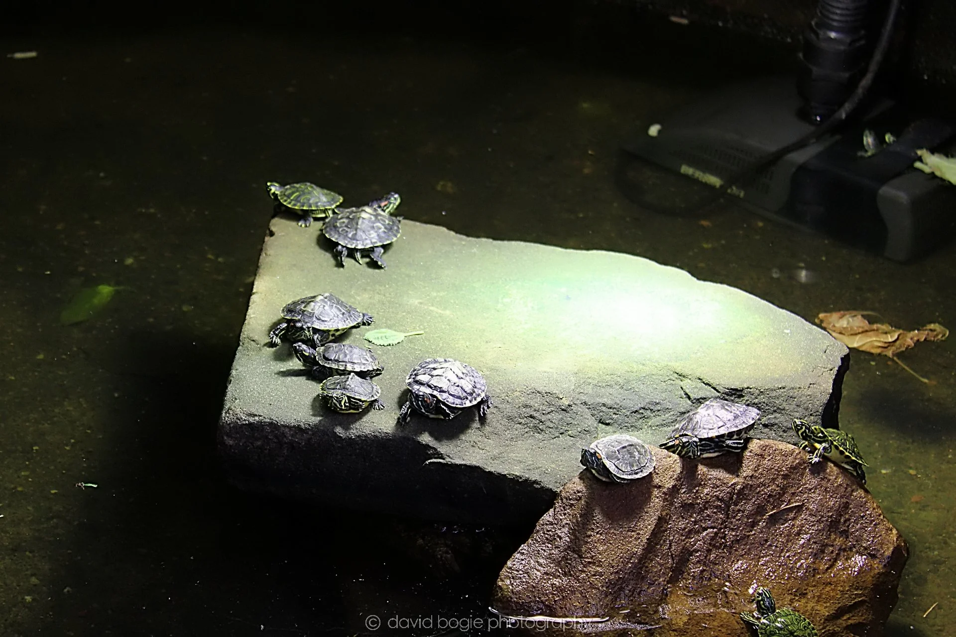 20191019 133954 Butterfly World 0057.jpg