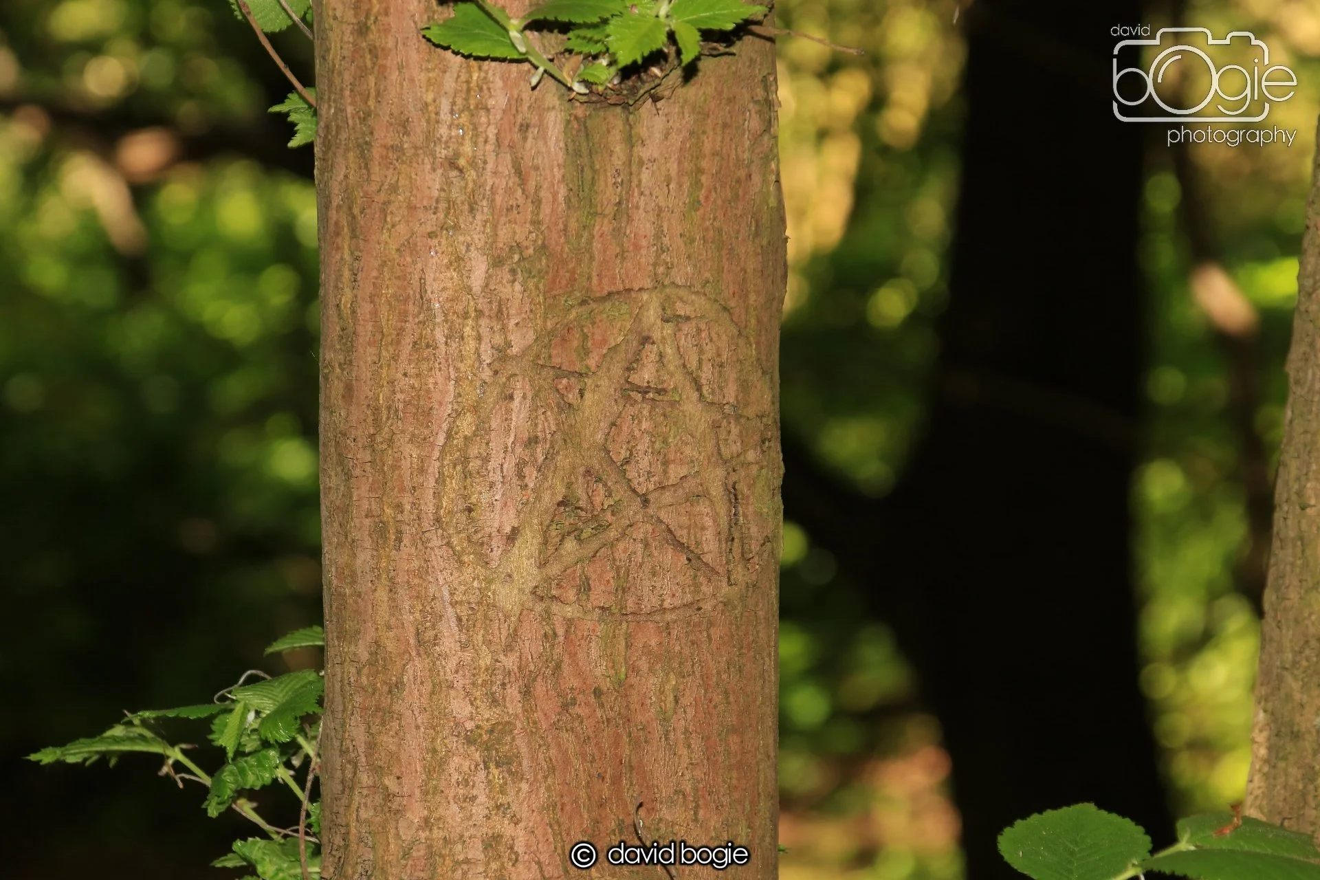 20250517 142119 Beveridge Park 0734.JPG