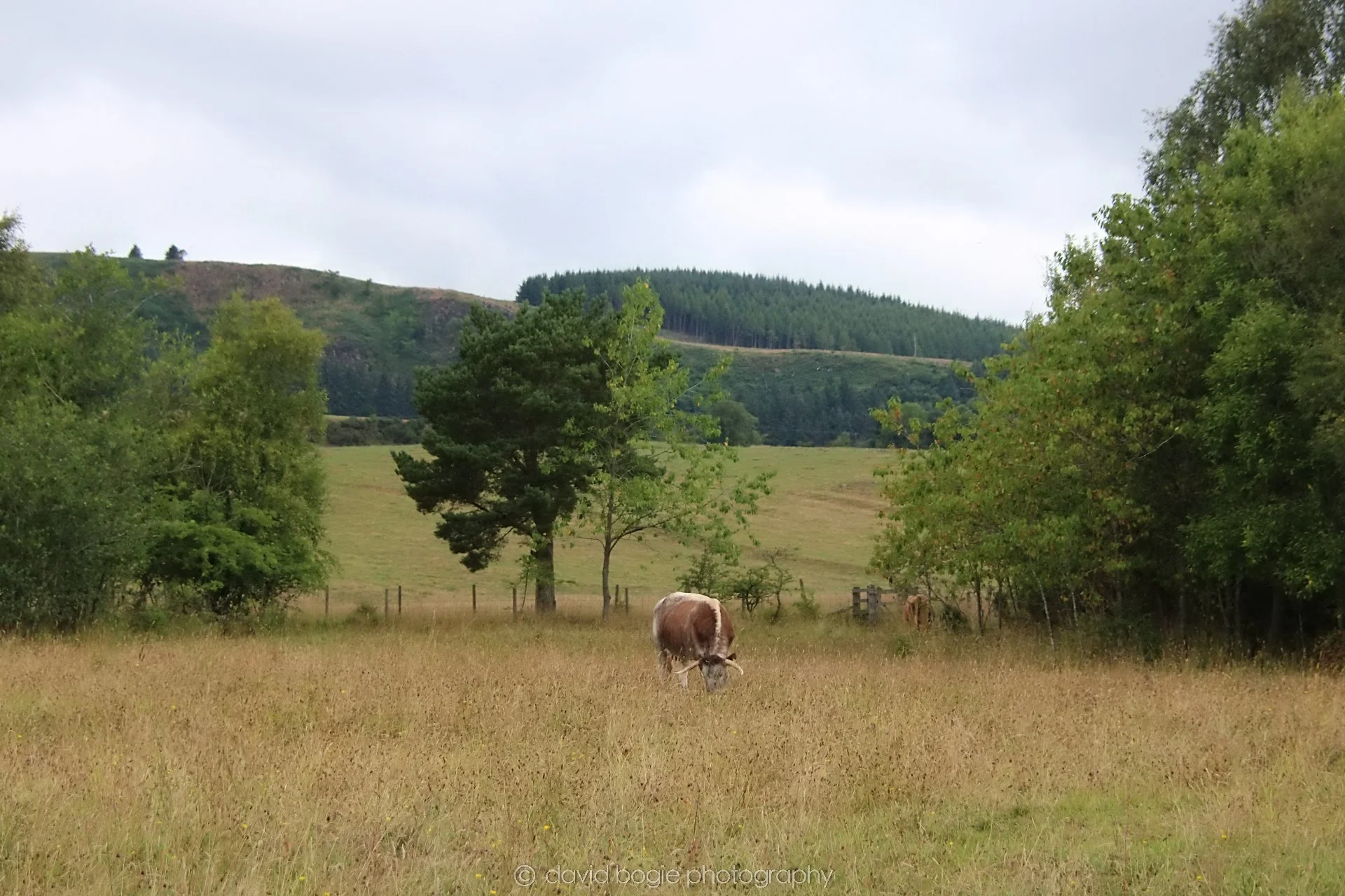 20210729 Lochore 5.jpg