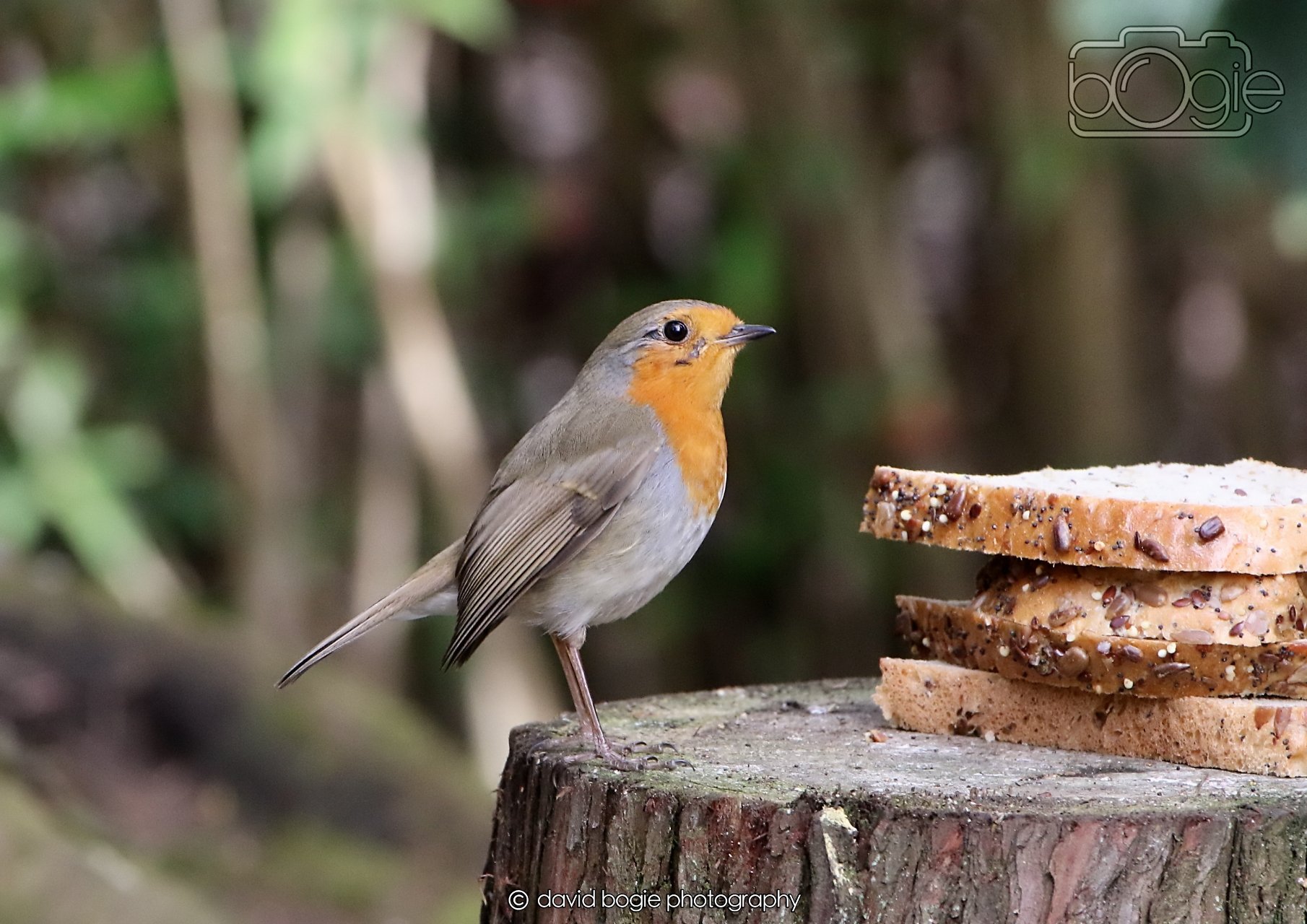 20260330 110955 Dunnikier 0002.jpg