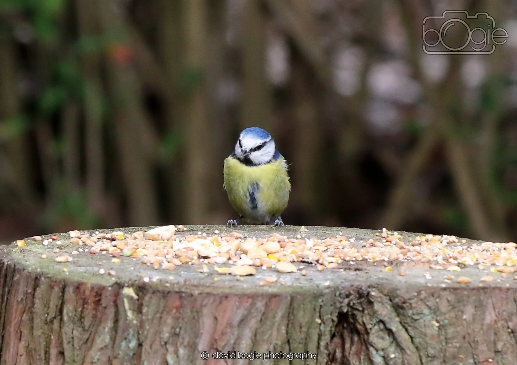 20260330 121535 Dunnikier 0383.jpg