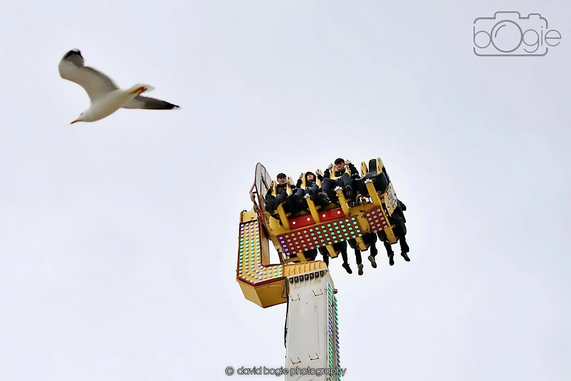 20260415 134705 Links Market 0542.jpg