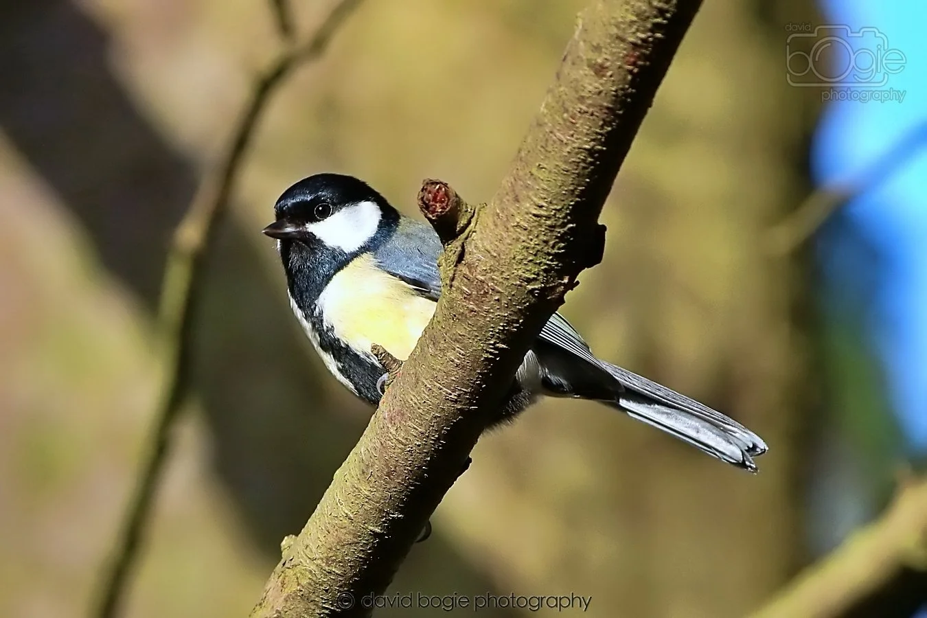 20260128 134617 Dunnikier 0284.jpg